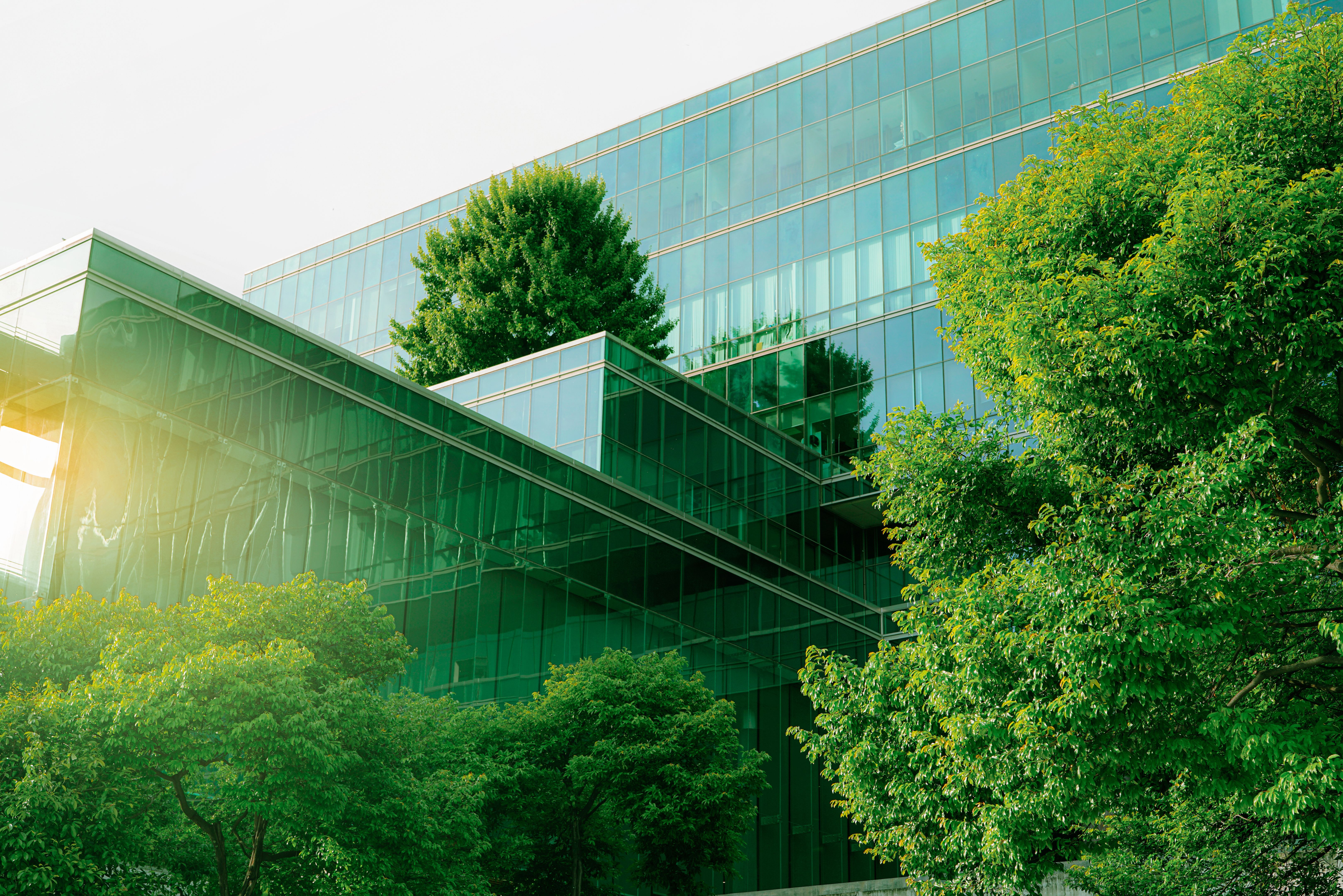 sustainable building