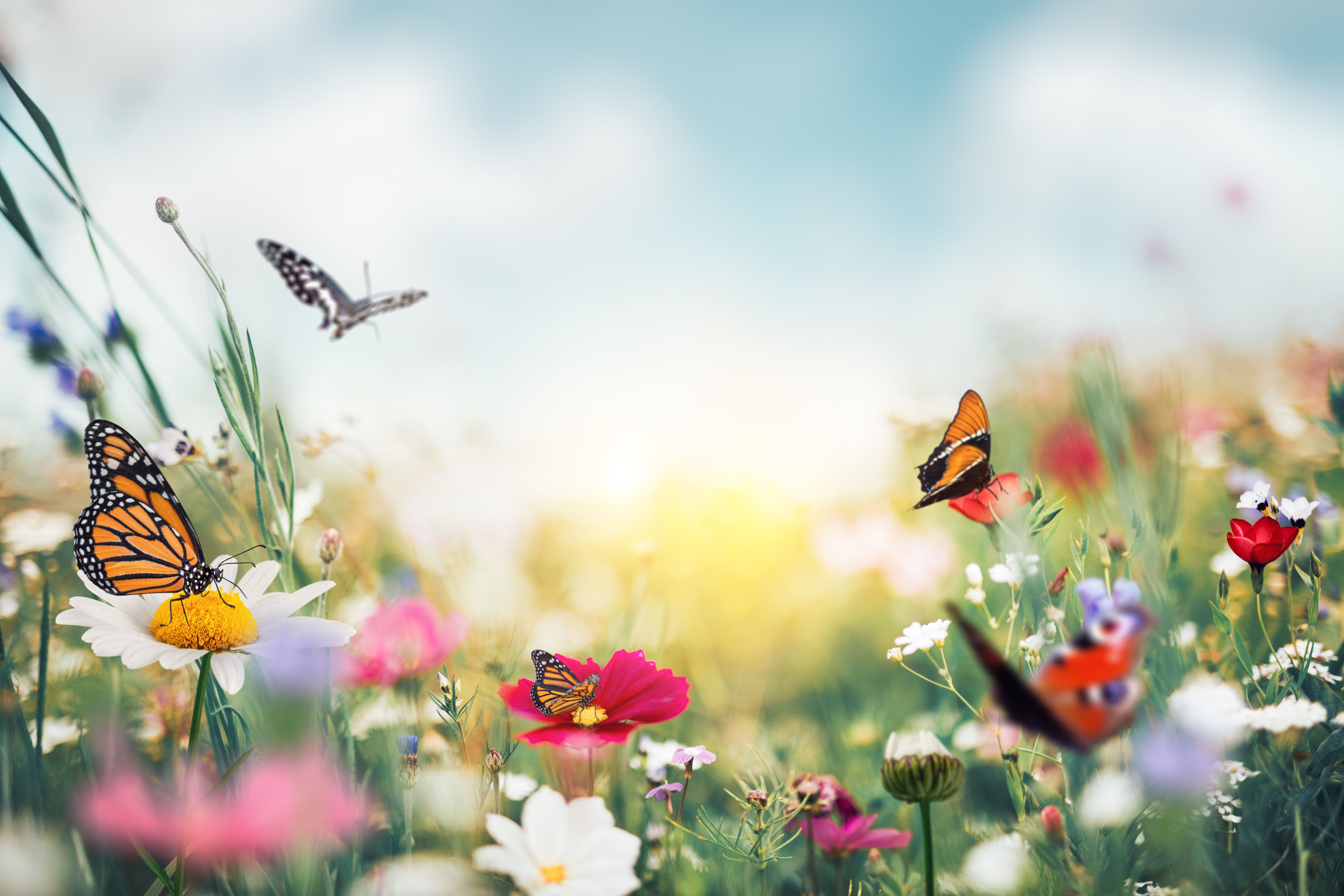 Christ, Our Eternal Spring