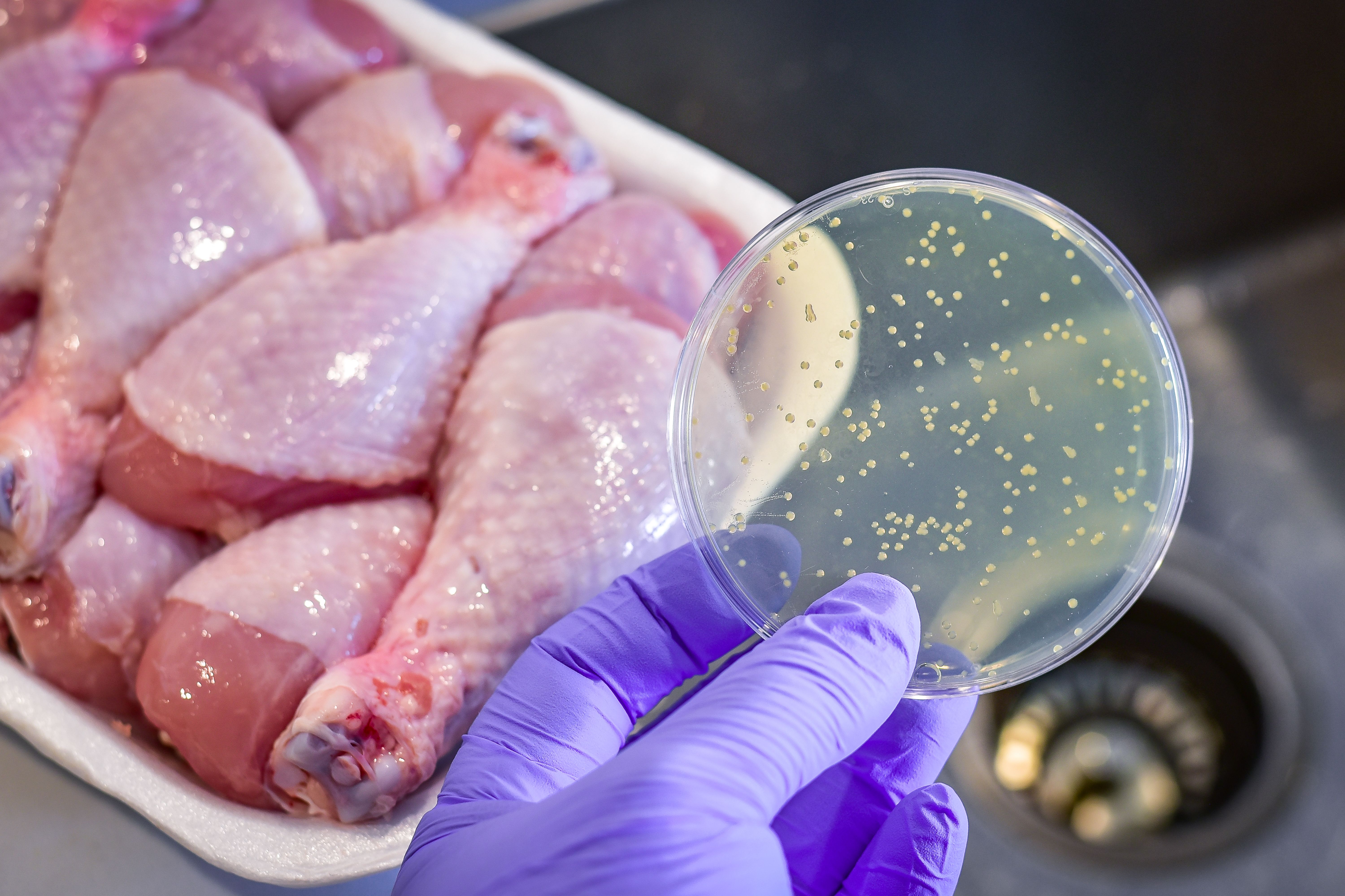 food safety