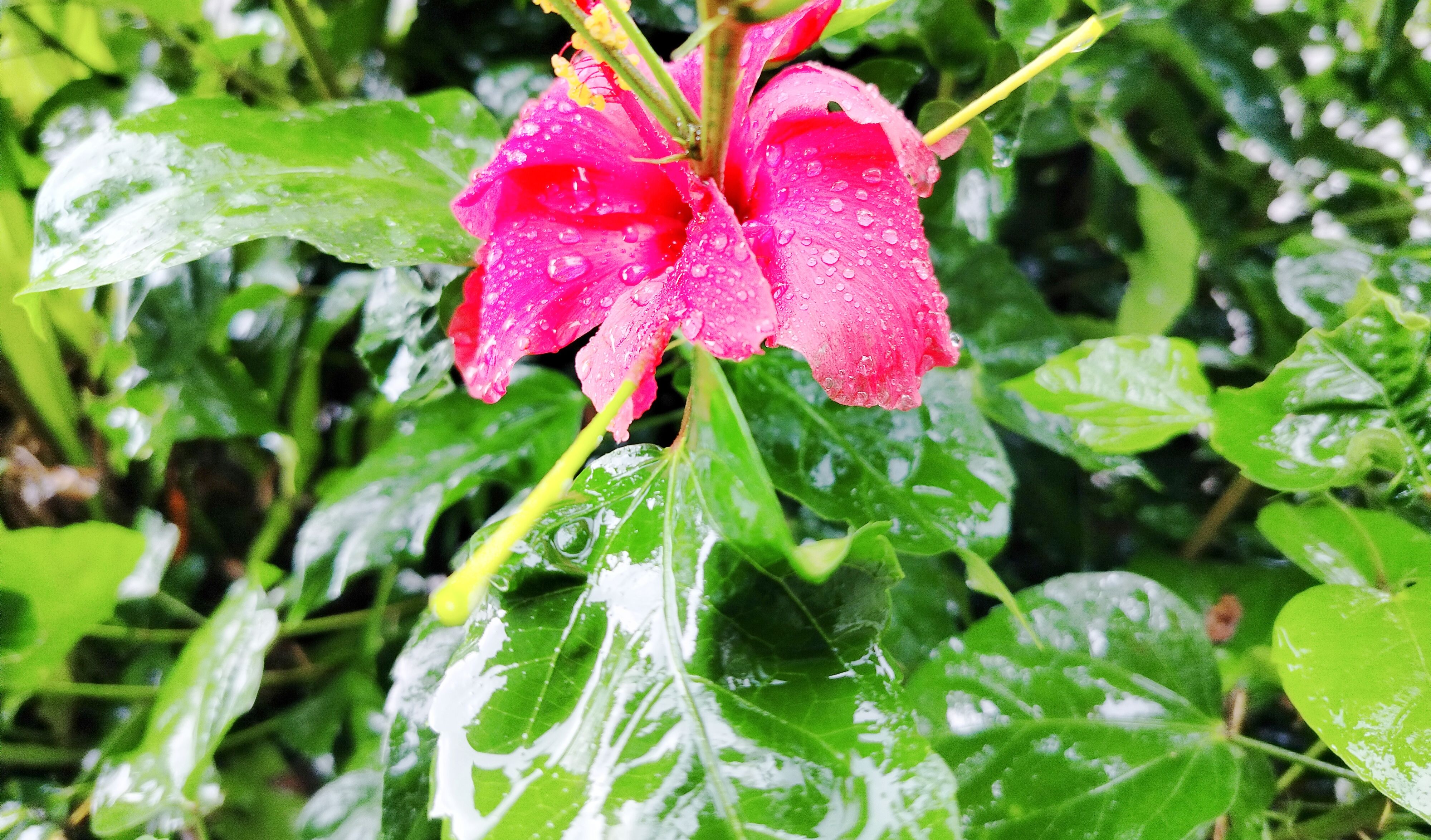 rainy season florida