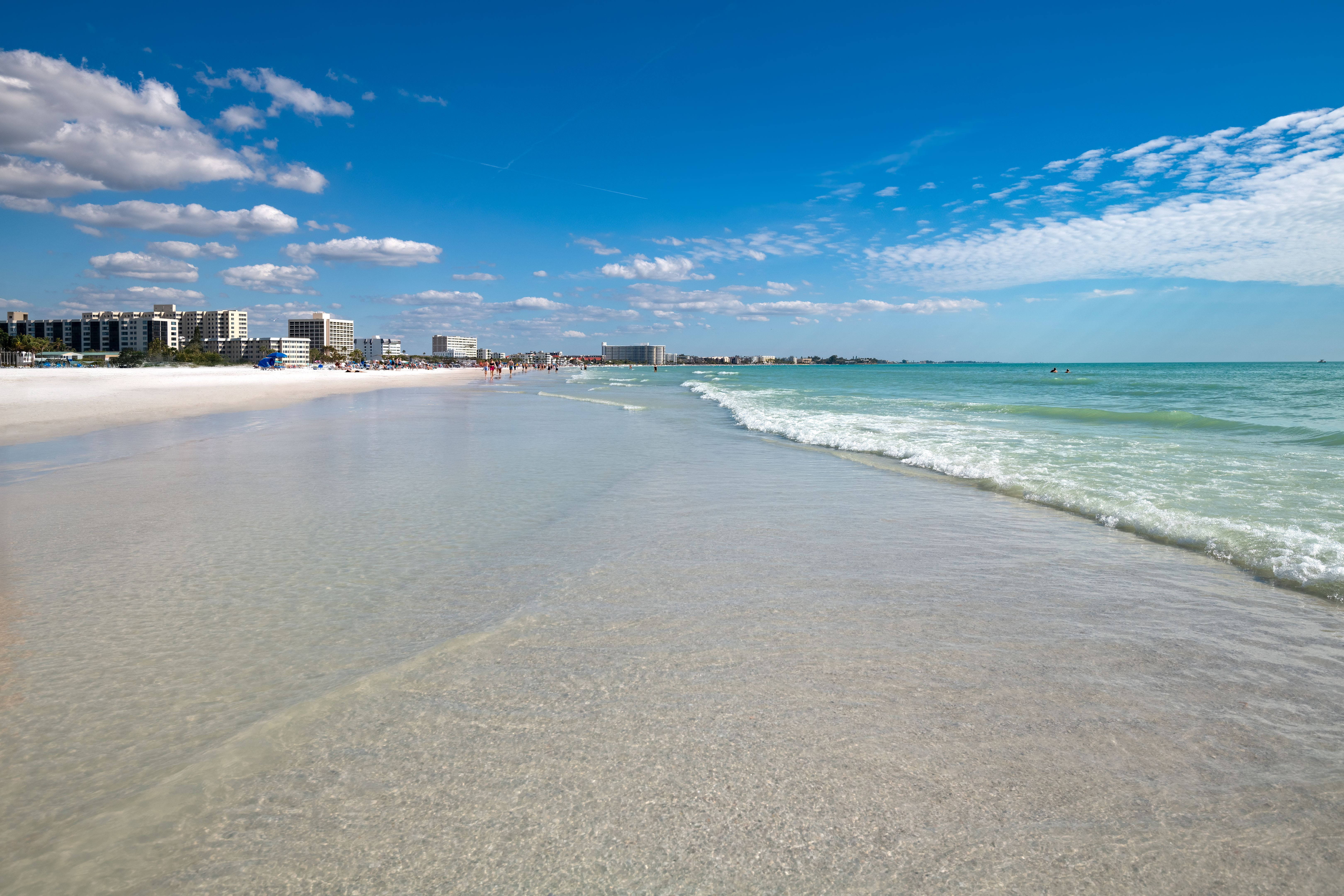 sarasota neighborhood