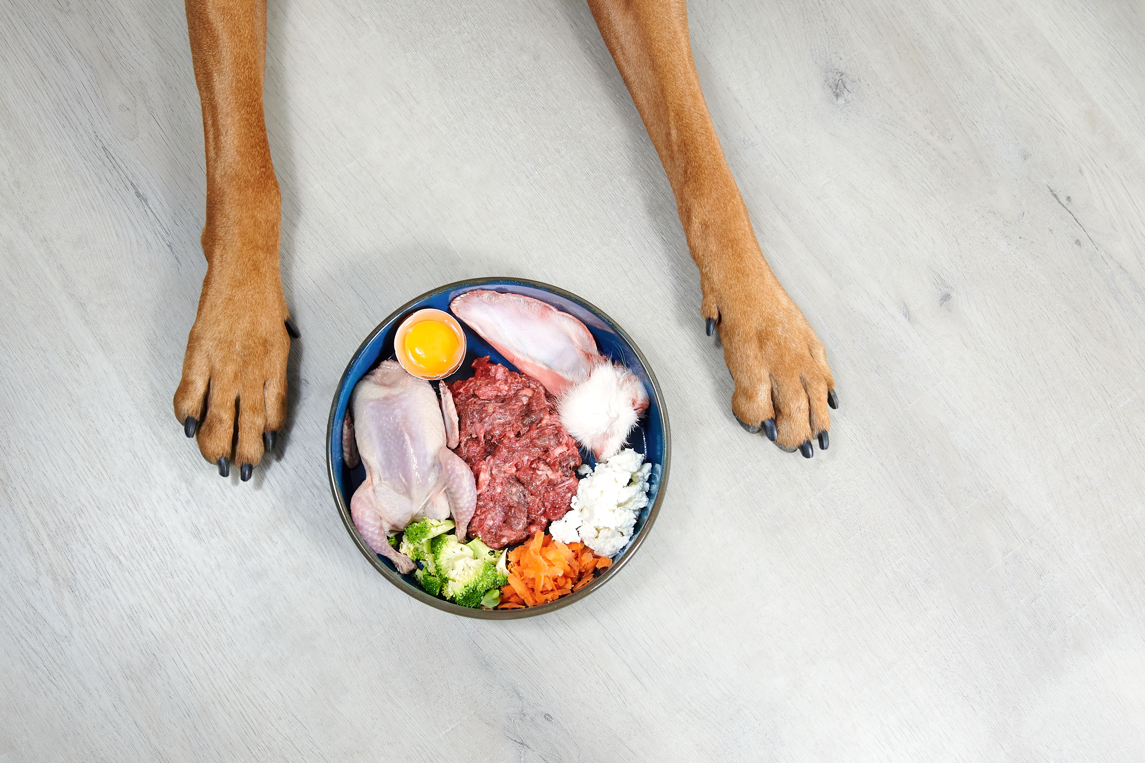 home cooked pet meals