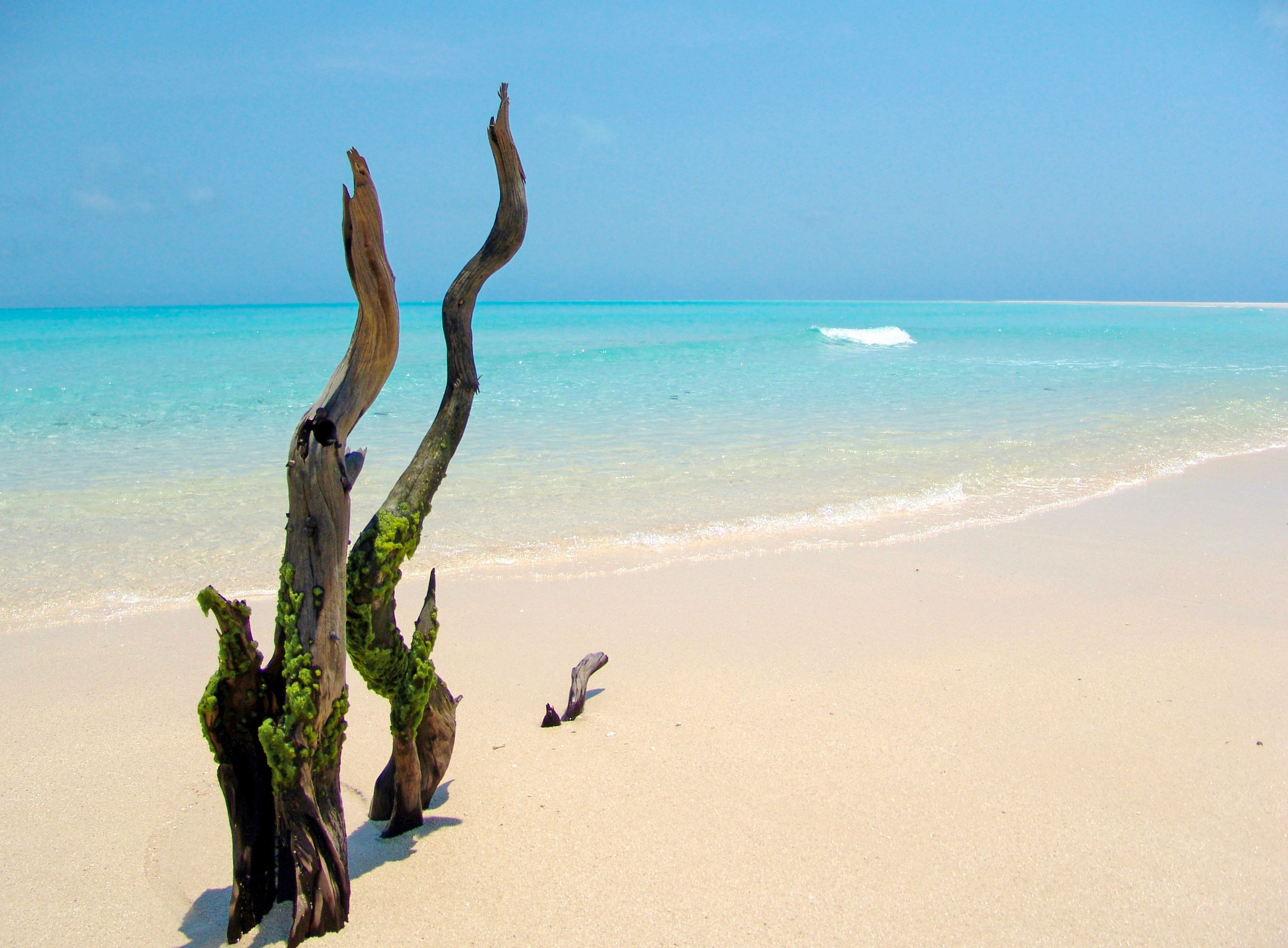 Medjumbe Island in Mozambique