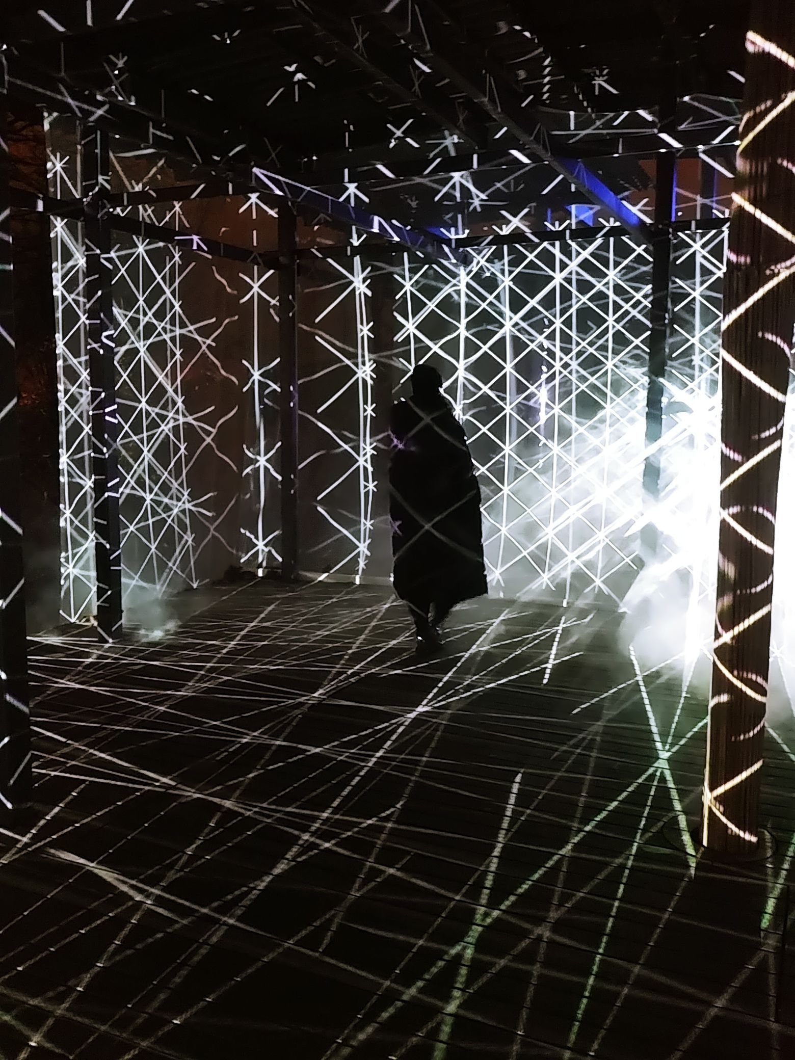 Atelier des Lumières