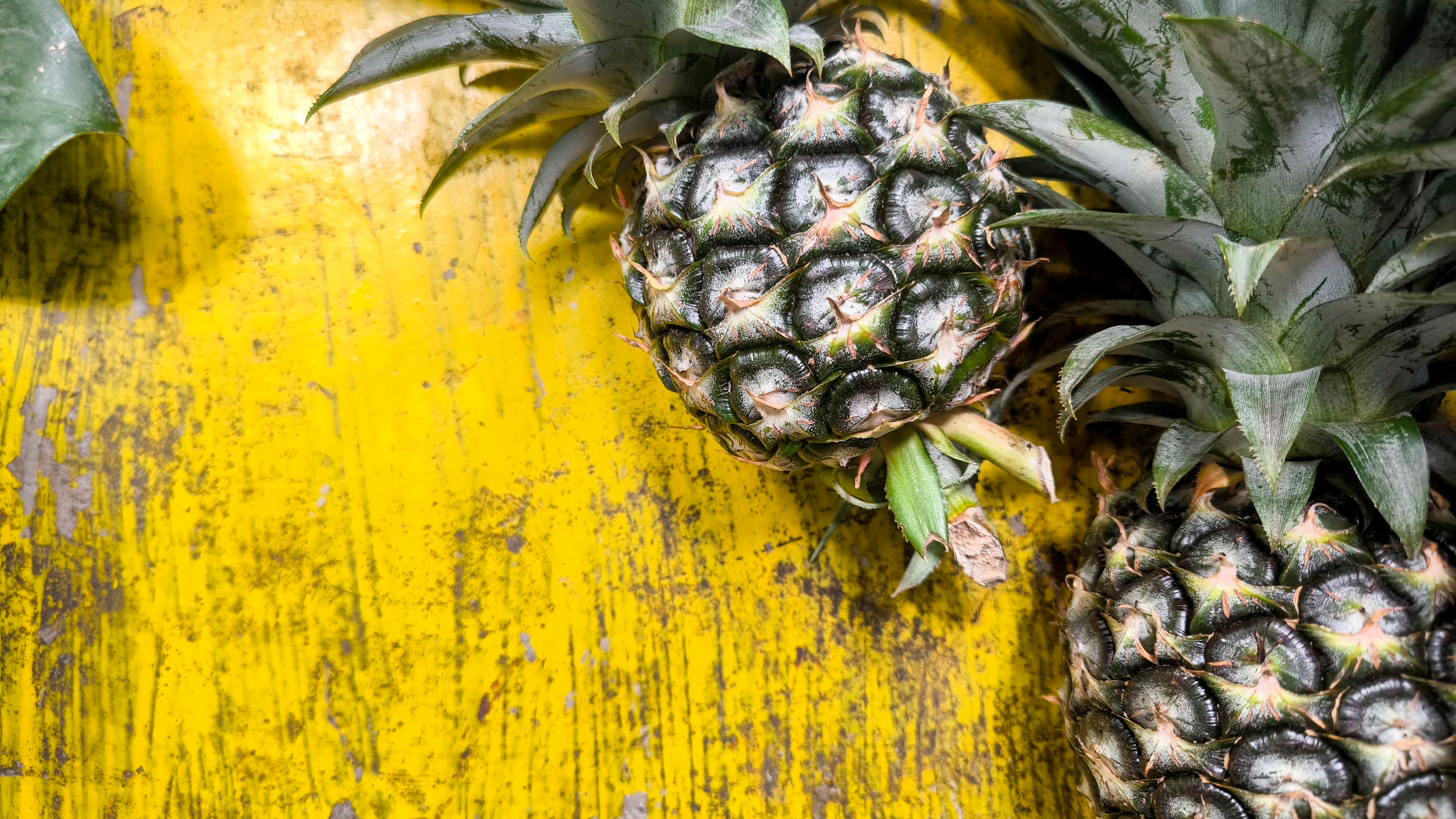 content marketing Chennai