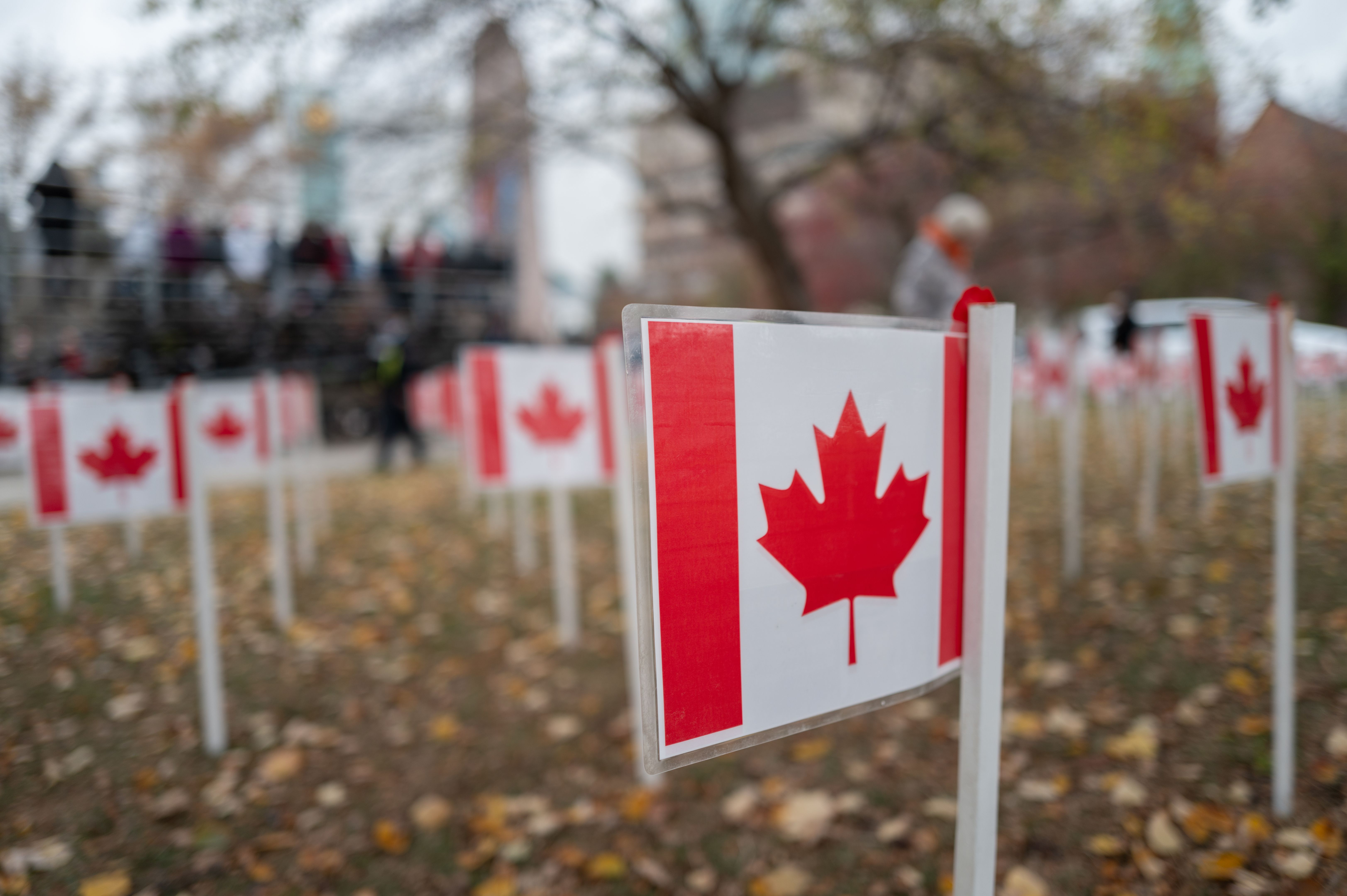 local government success