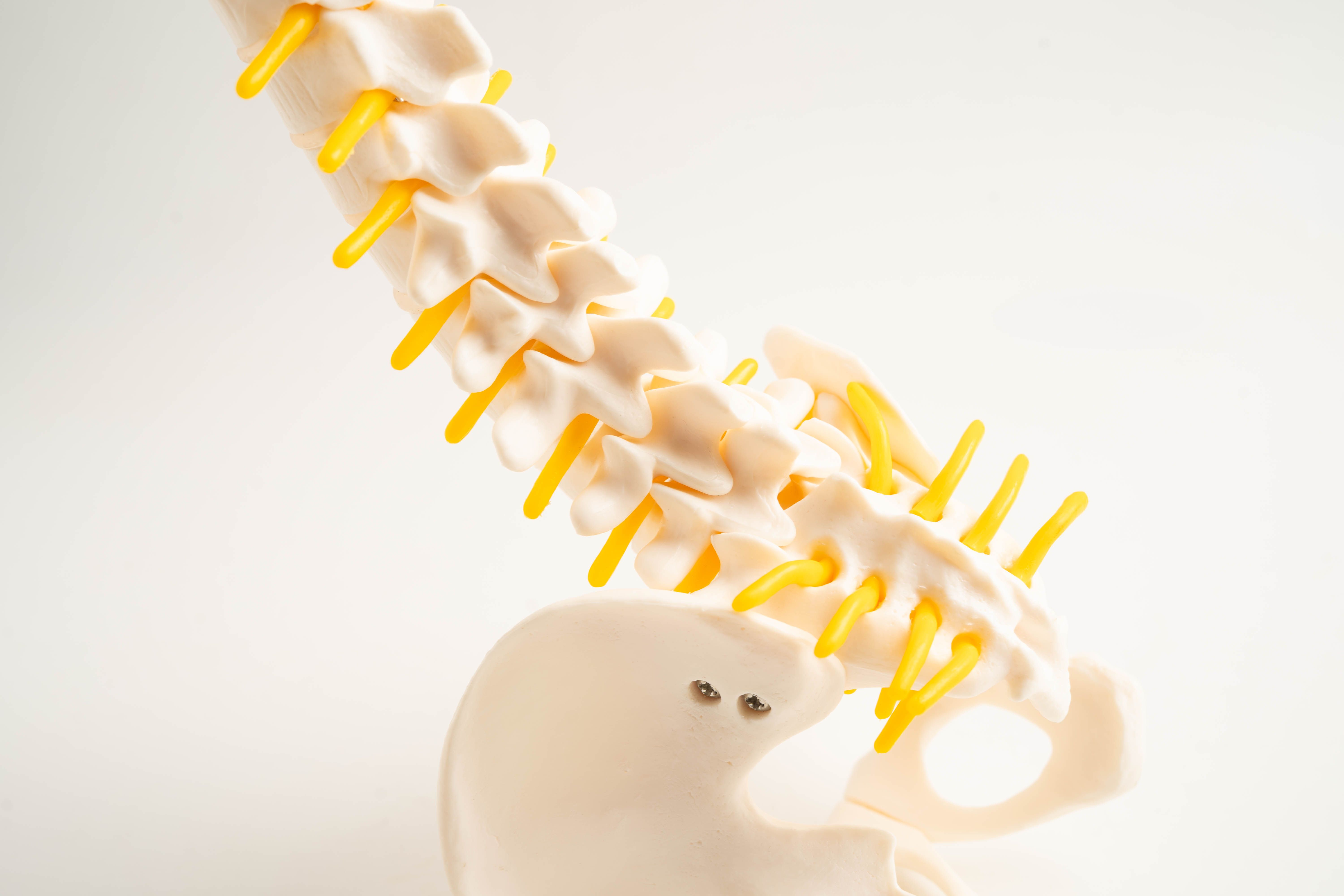 chiropractic equipment