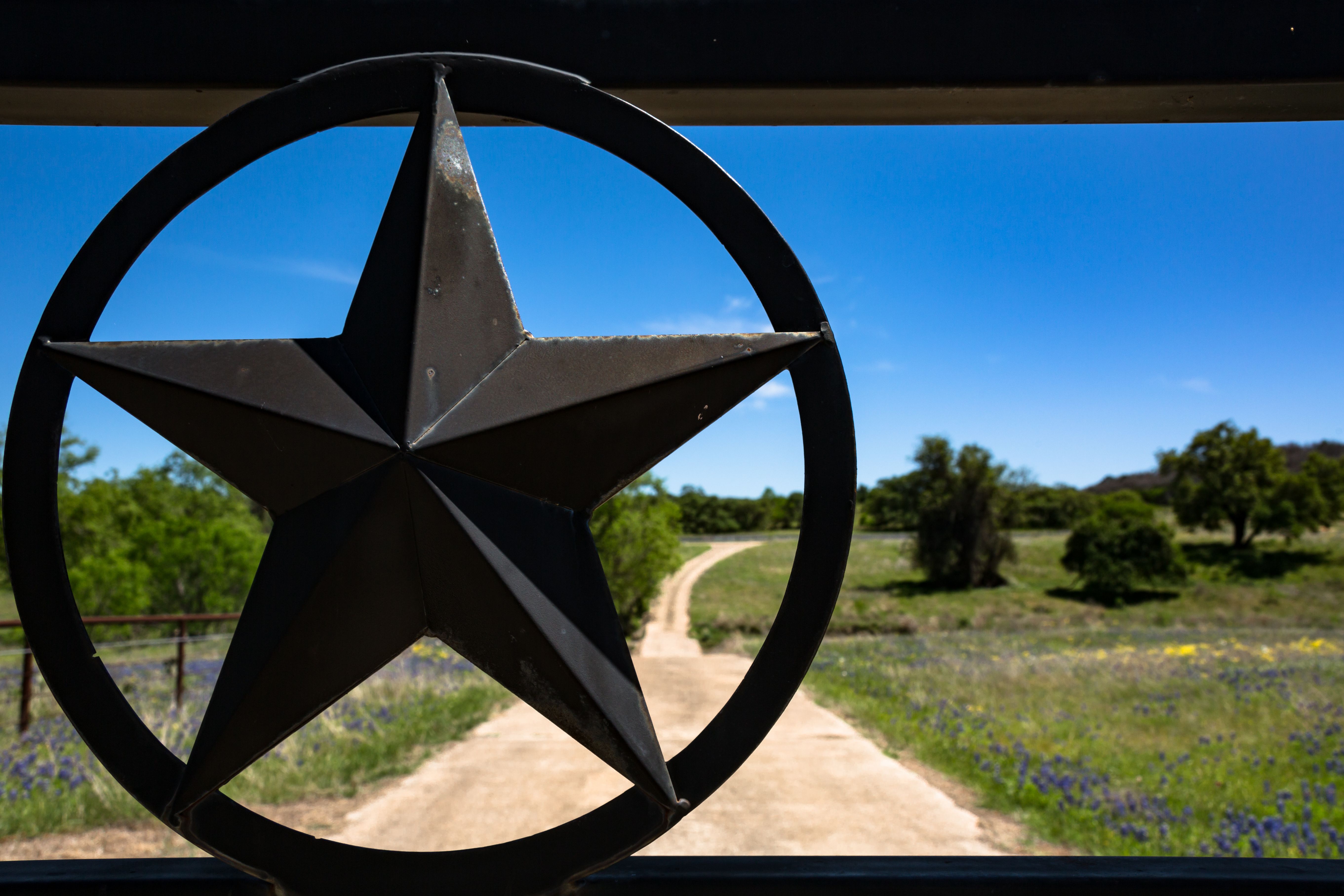 Texas Star Landscape