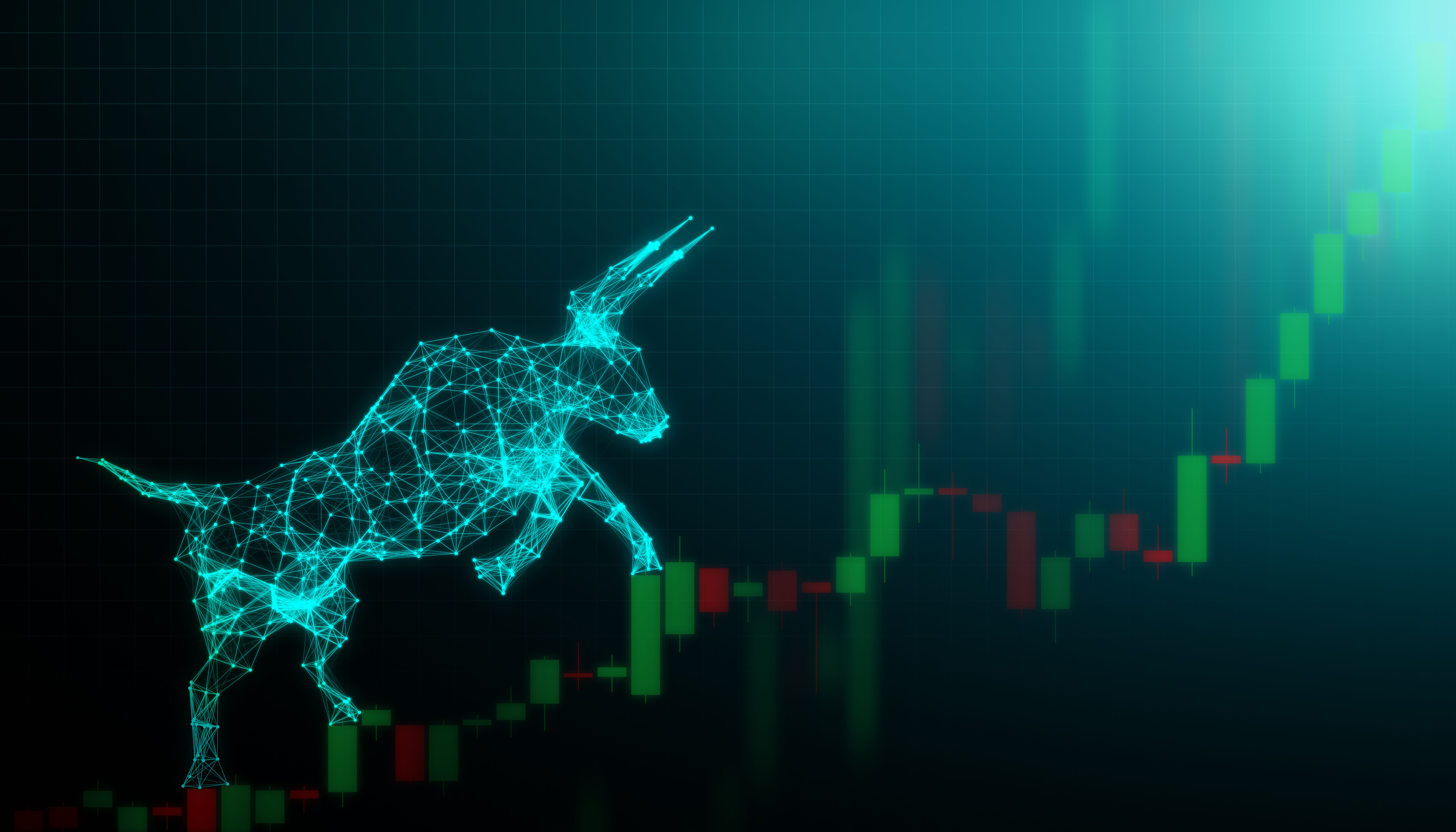 bull market