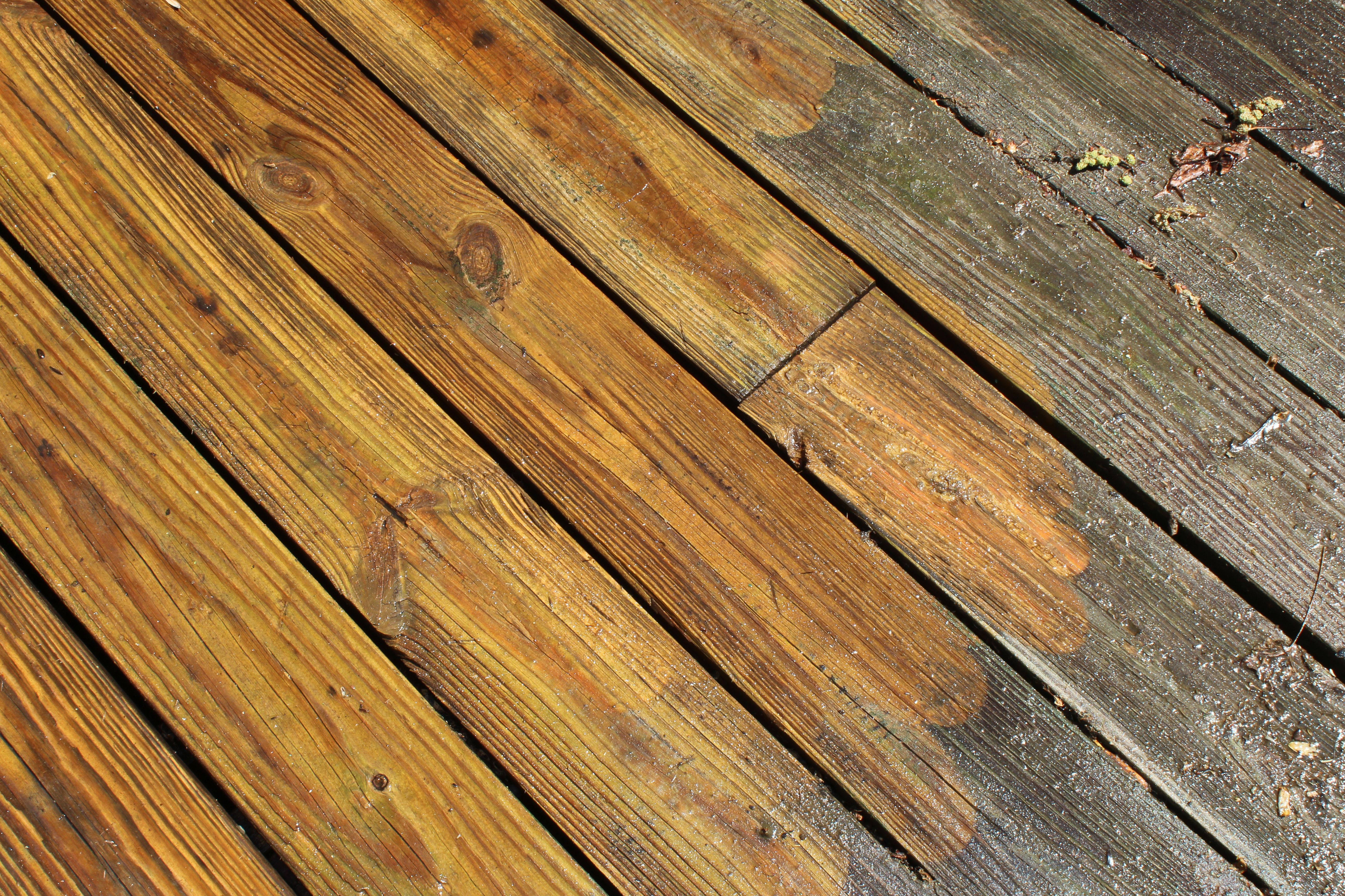 deck mold treatment