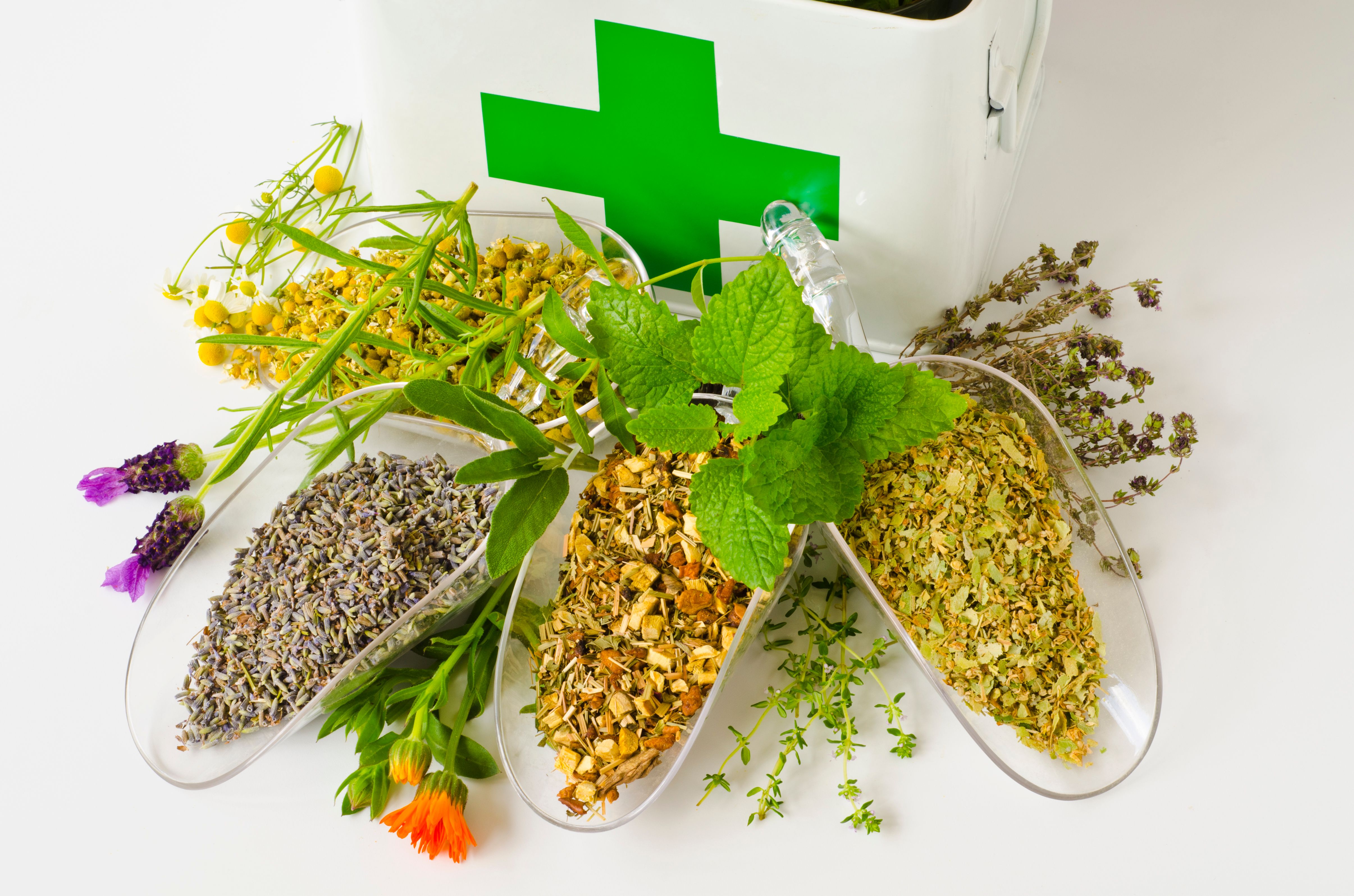 Alternative Medicine. Herbal Therapy. Alternative Medicine. Herbal Therapy.