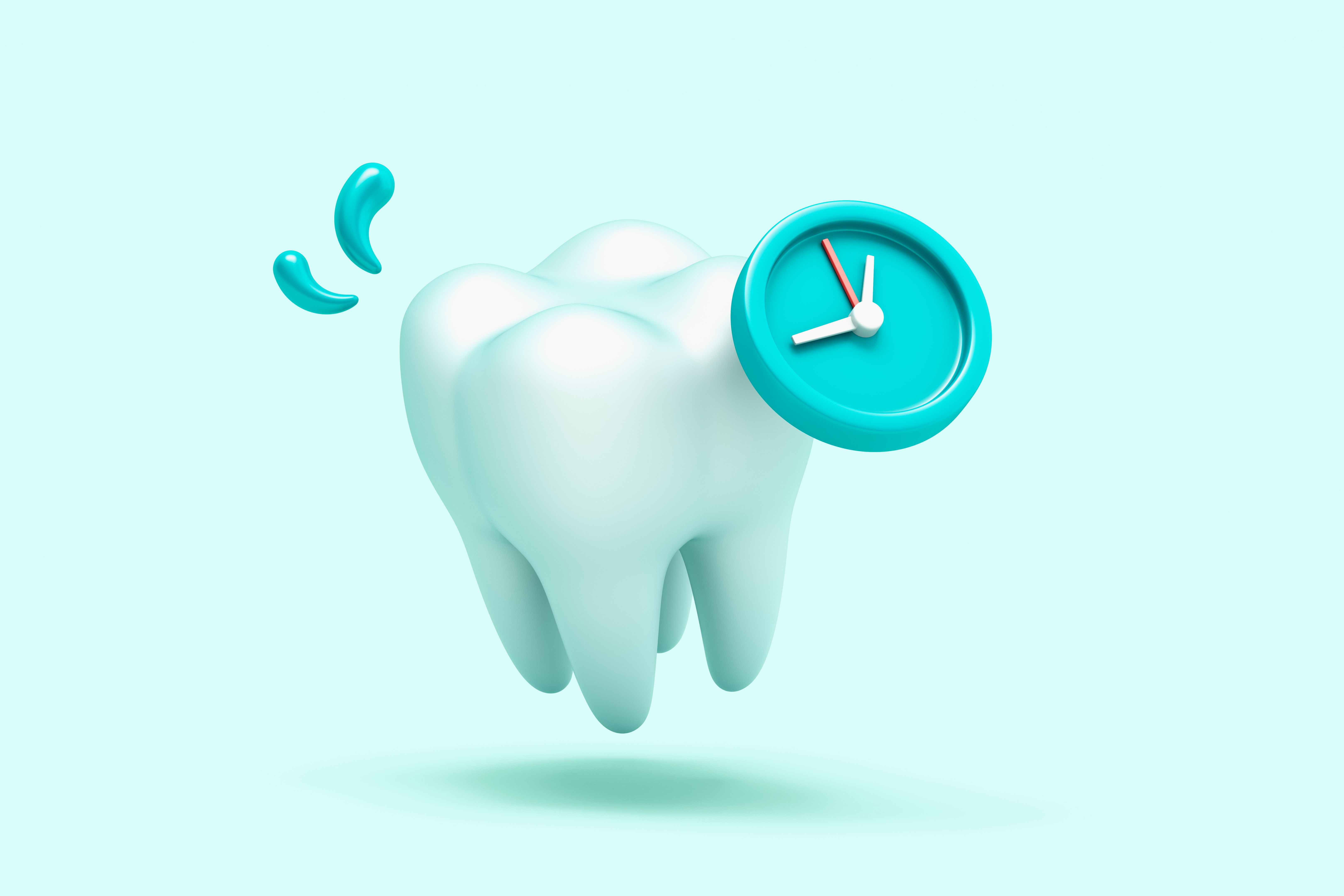 dental maintenance schedule
