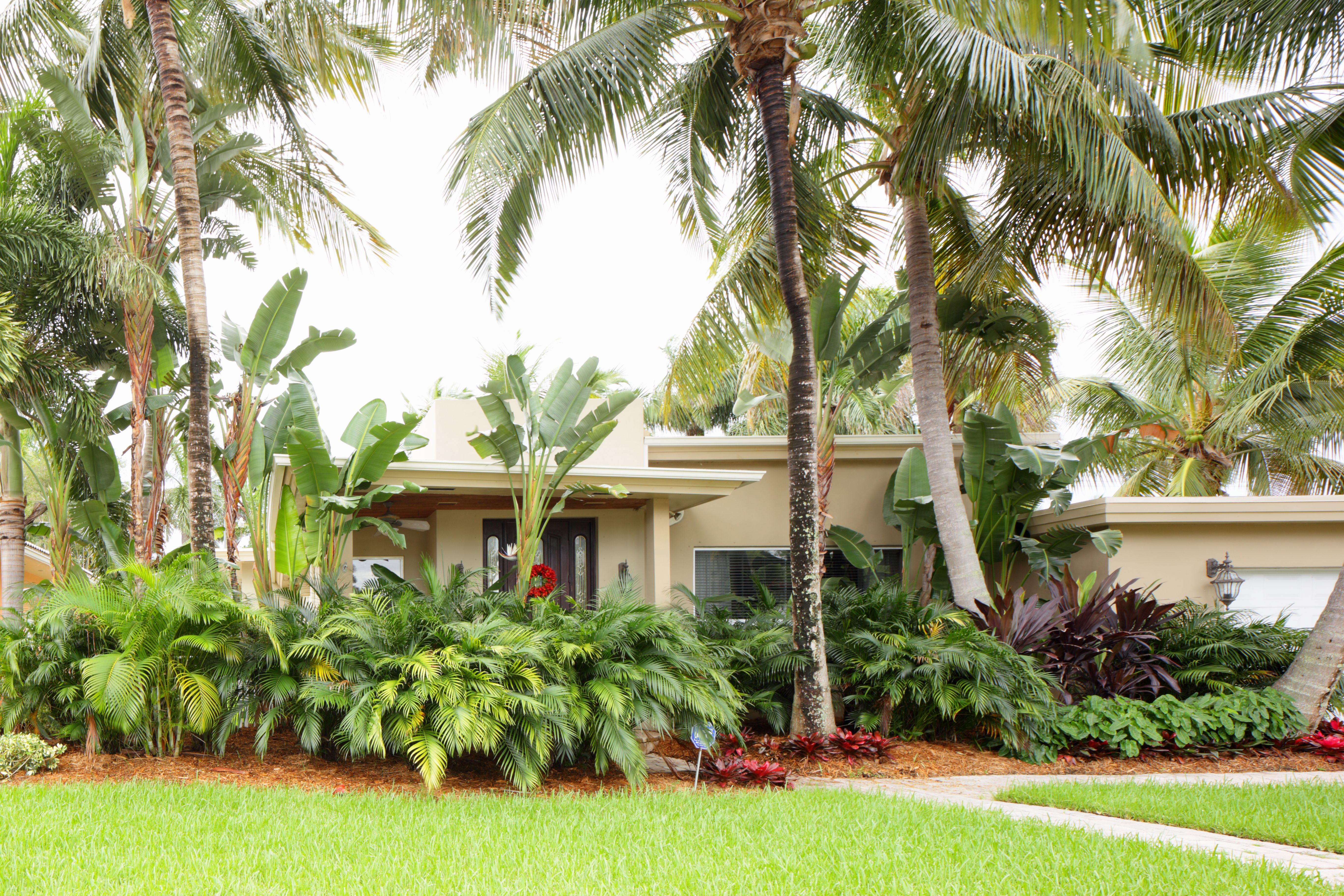 tropical island home