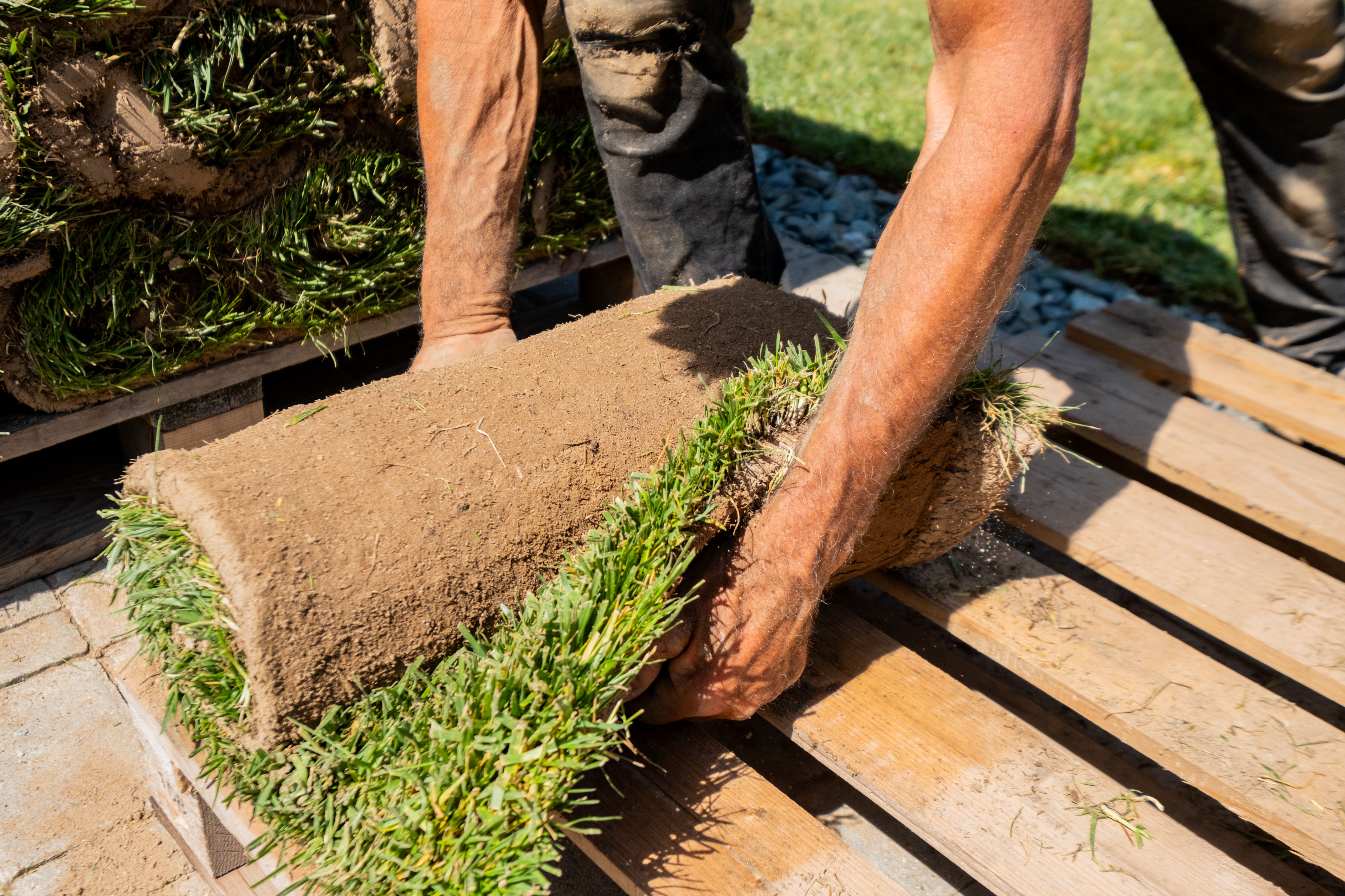 business landscaping