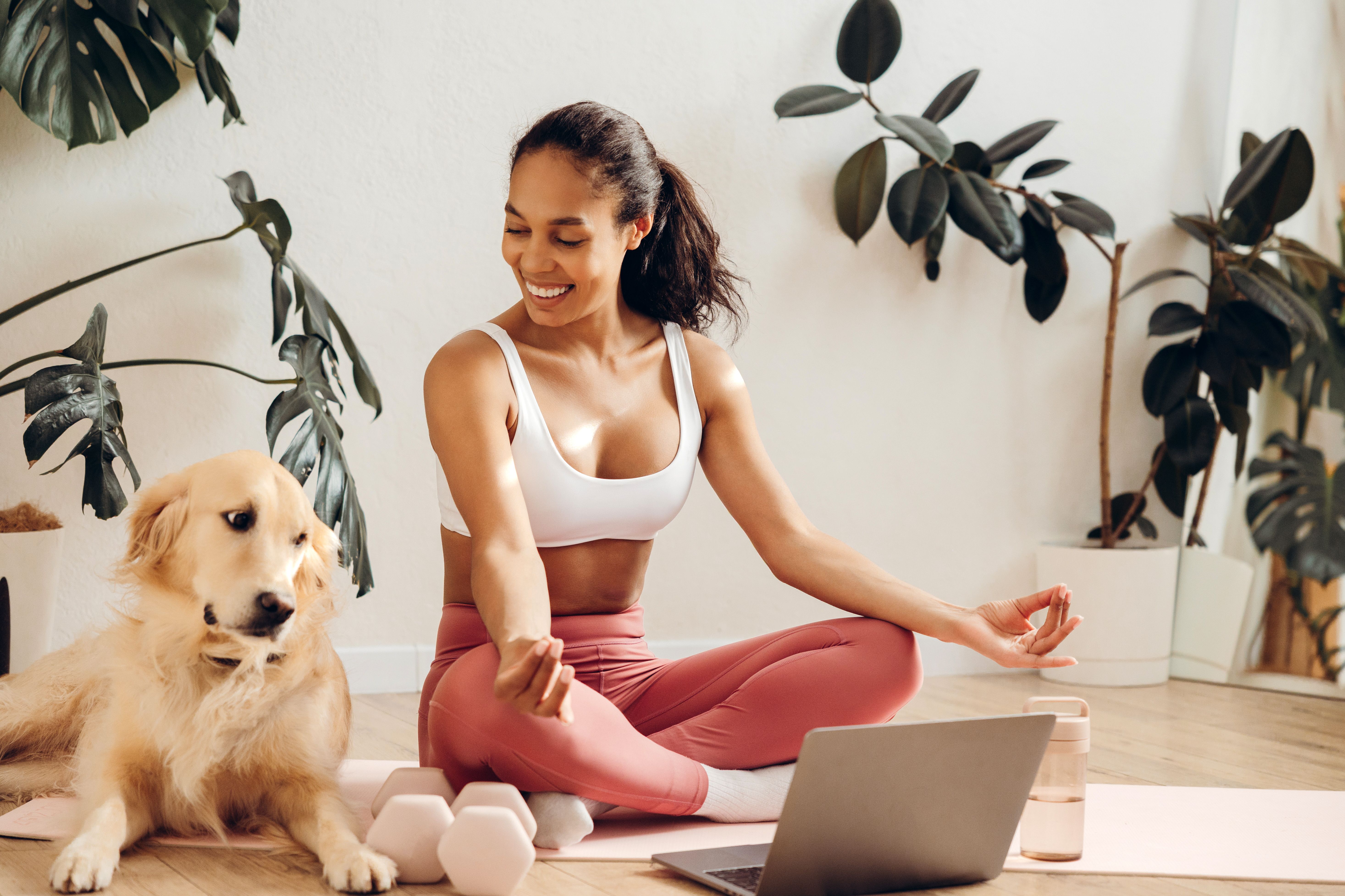 dog training online