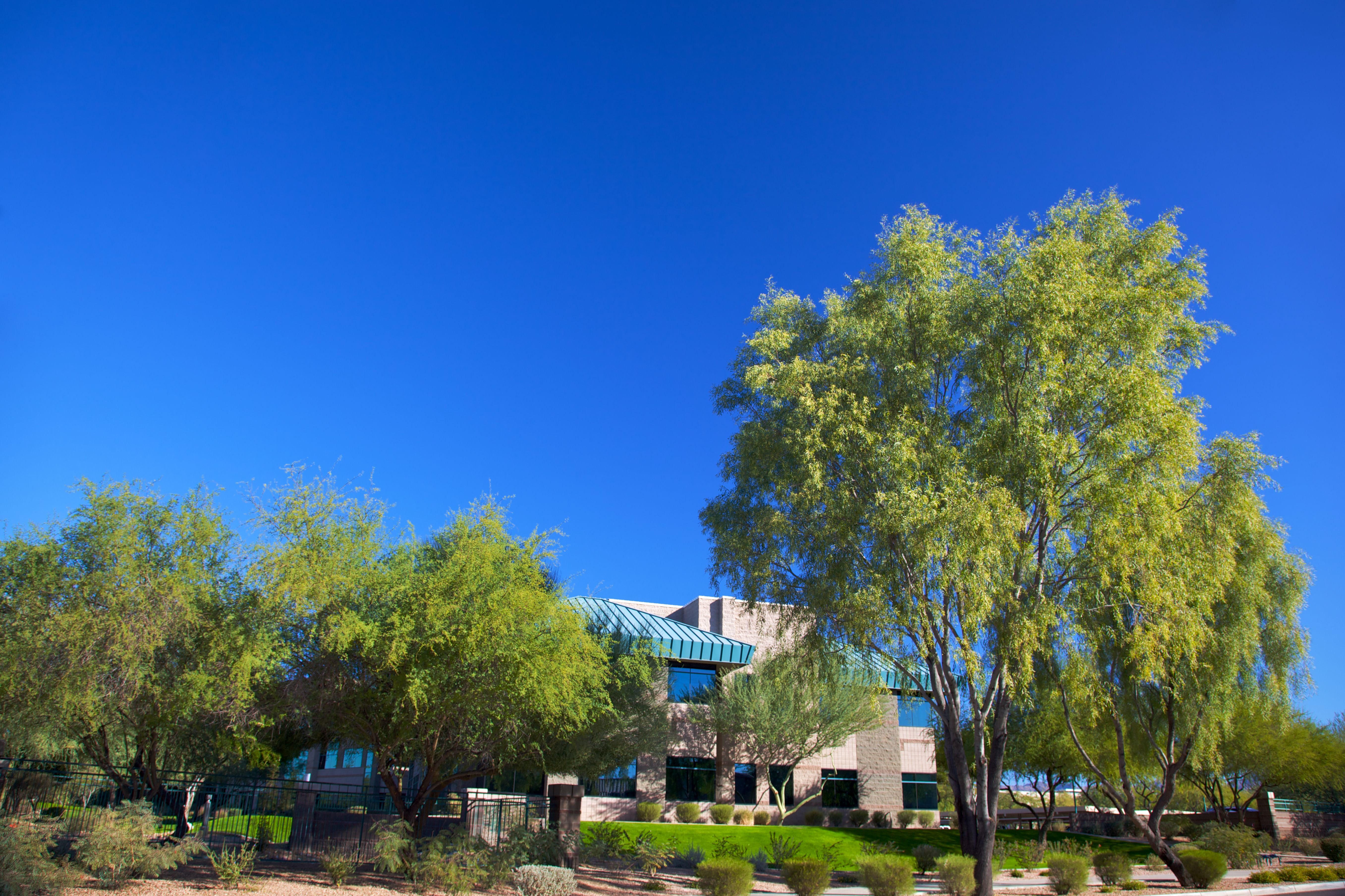 scottsdale tax forms