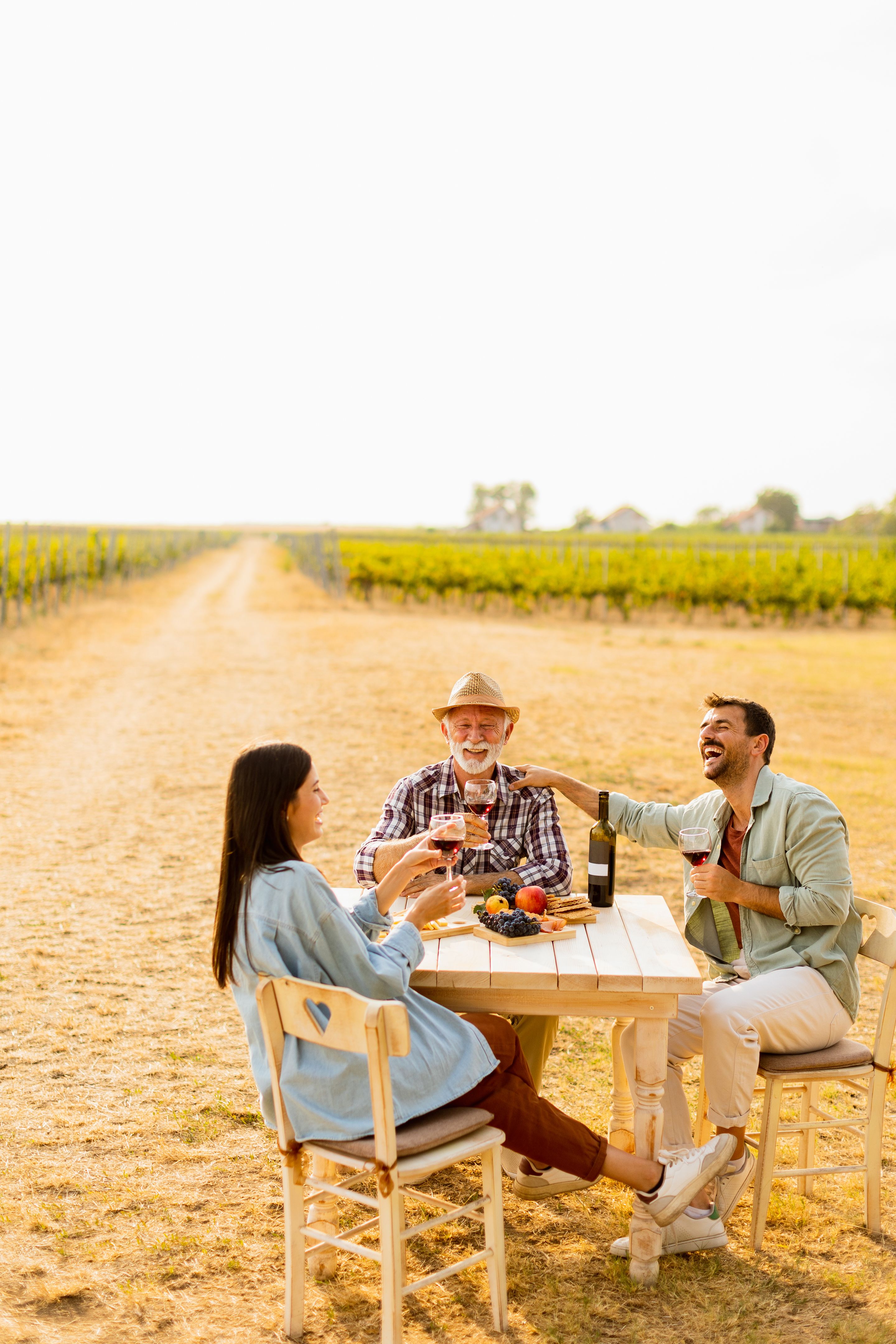 Joyful gathering in a sunlit vineyard with friends savoring wine and fresh produce on a warm afternoon in the countryside