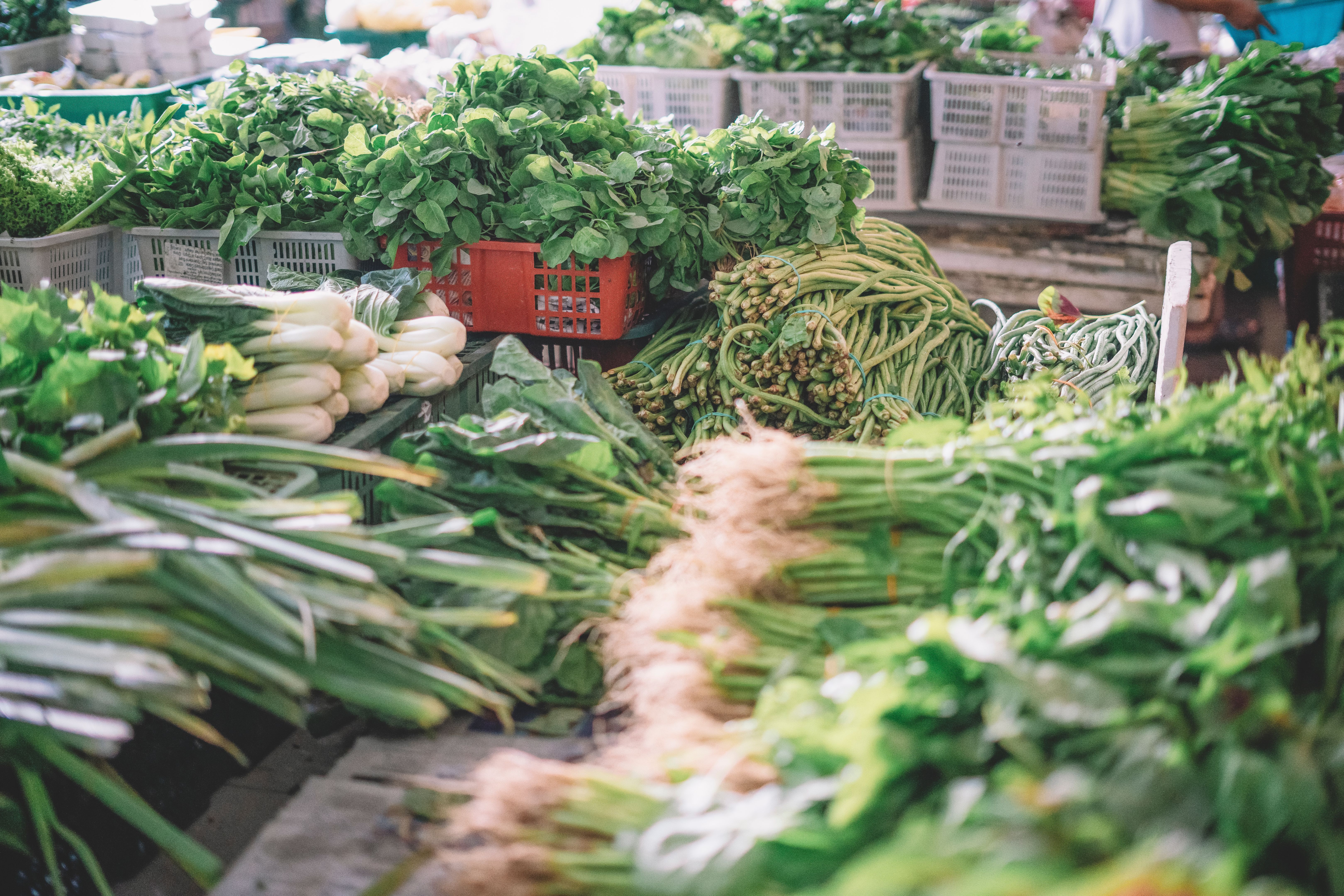 organic vegetables market
