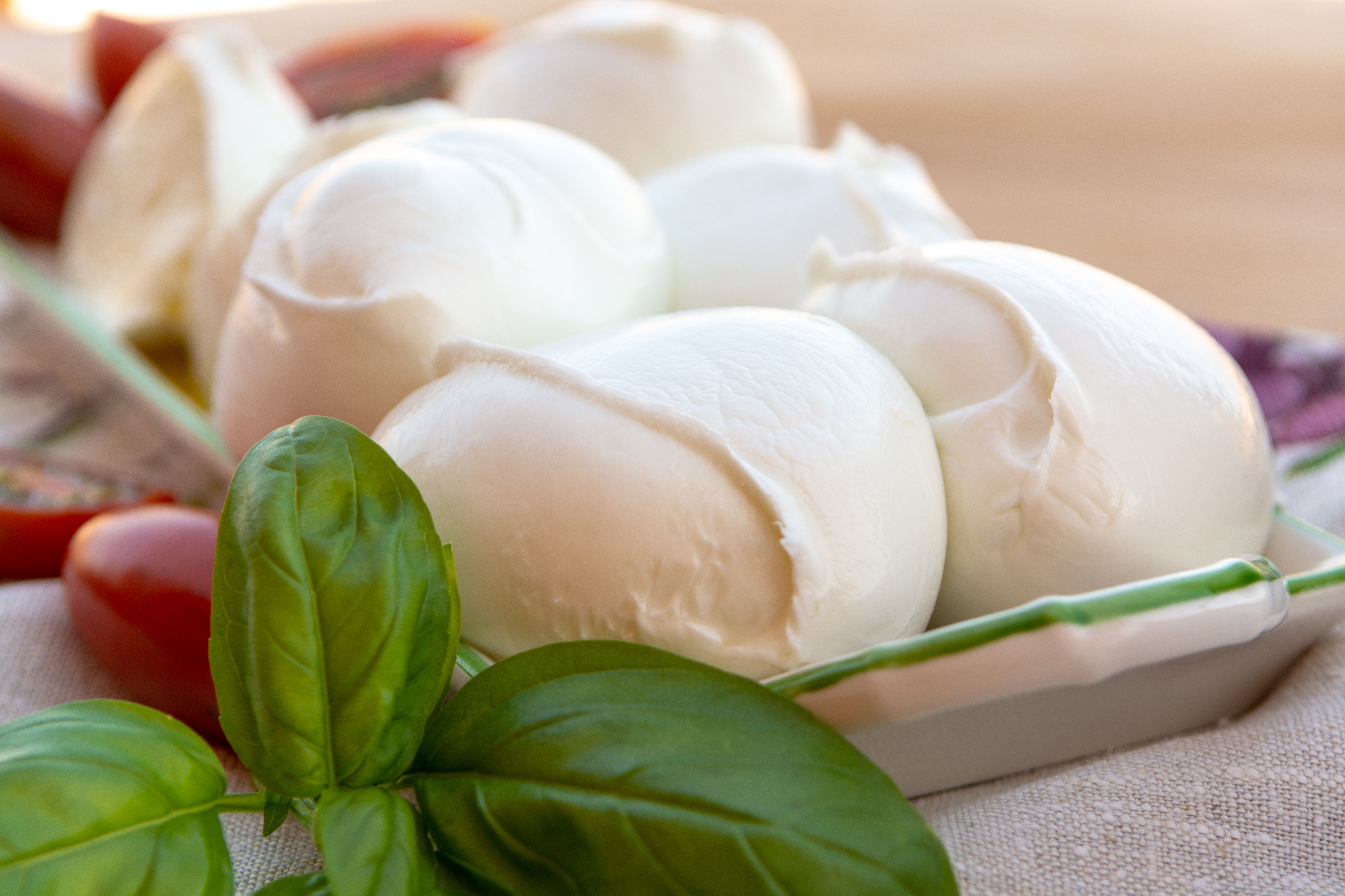 Fresh soft Italian white cheese mozzarella buffalo, original from Campania, Paestrum and Foggia regions, South Italy, served with tomatoes and fresh basil Fresh soft Italian white cheese mozzarella buffalo, original from Campania, Paestrum and Foggia regions, South Italy, served with tomatoes and fresh basil