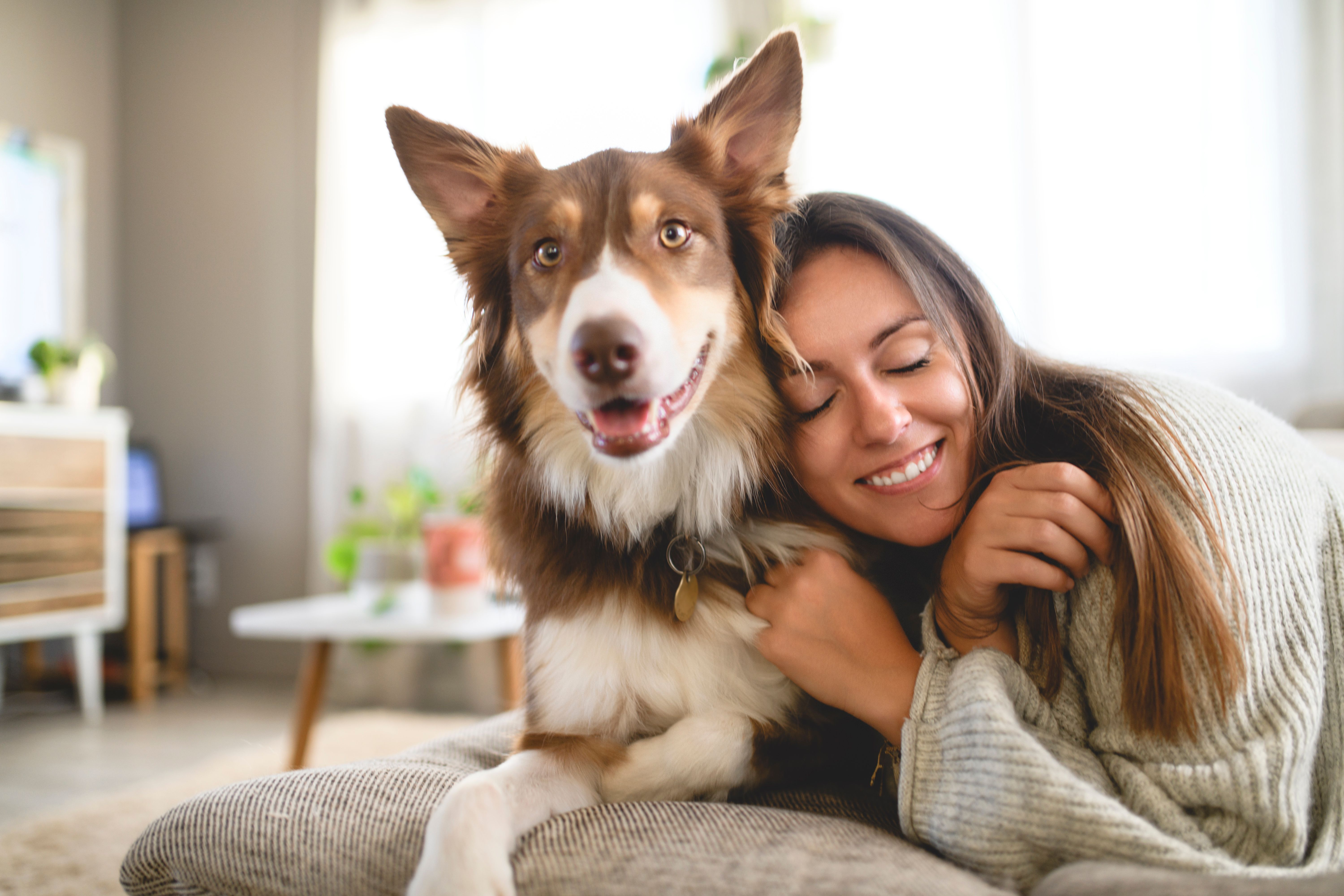 happy pets