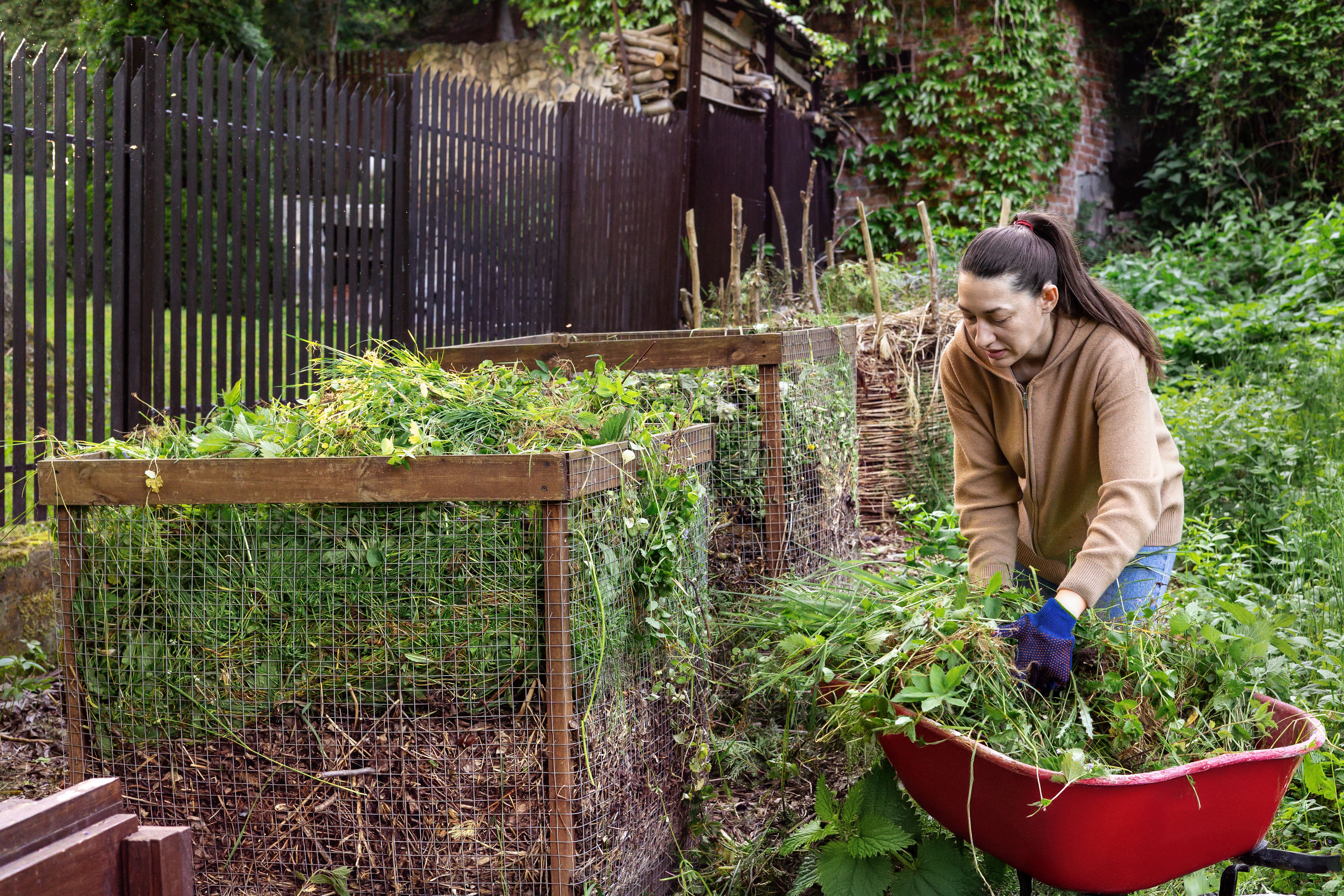 sustainable garden