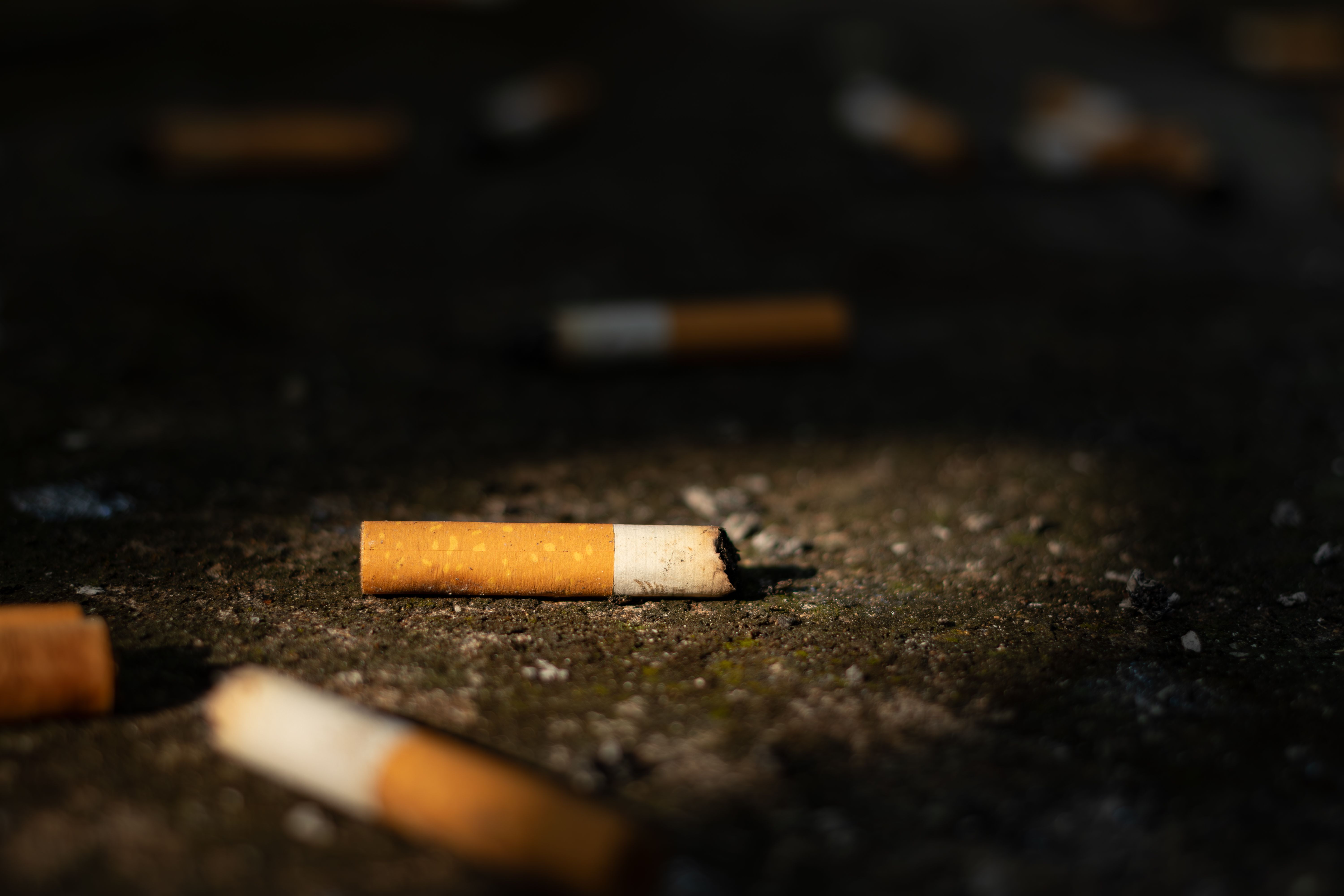 environment tobacco impact