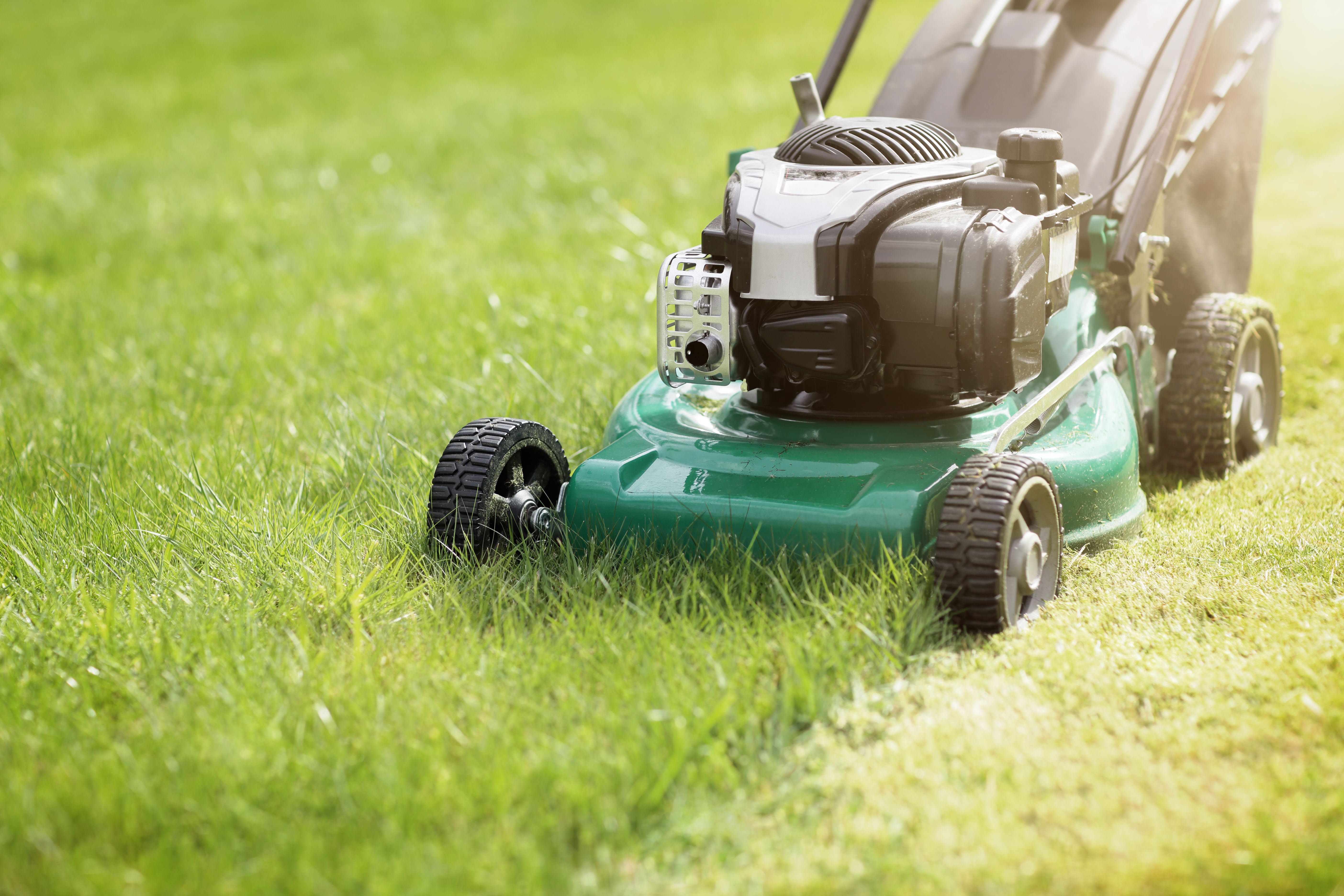summer lawn care
