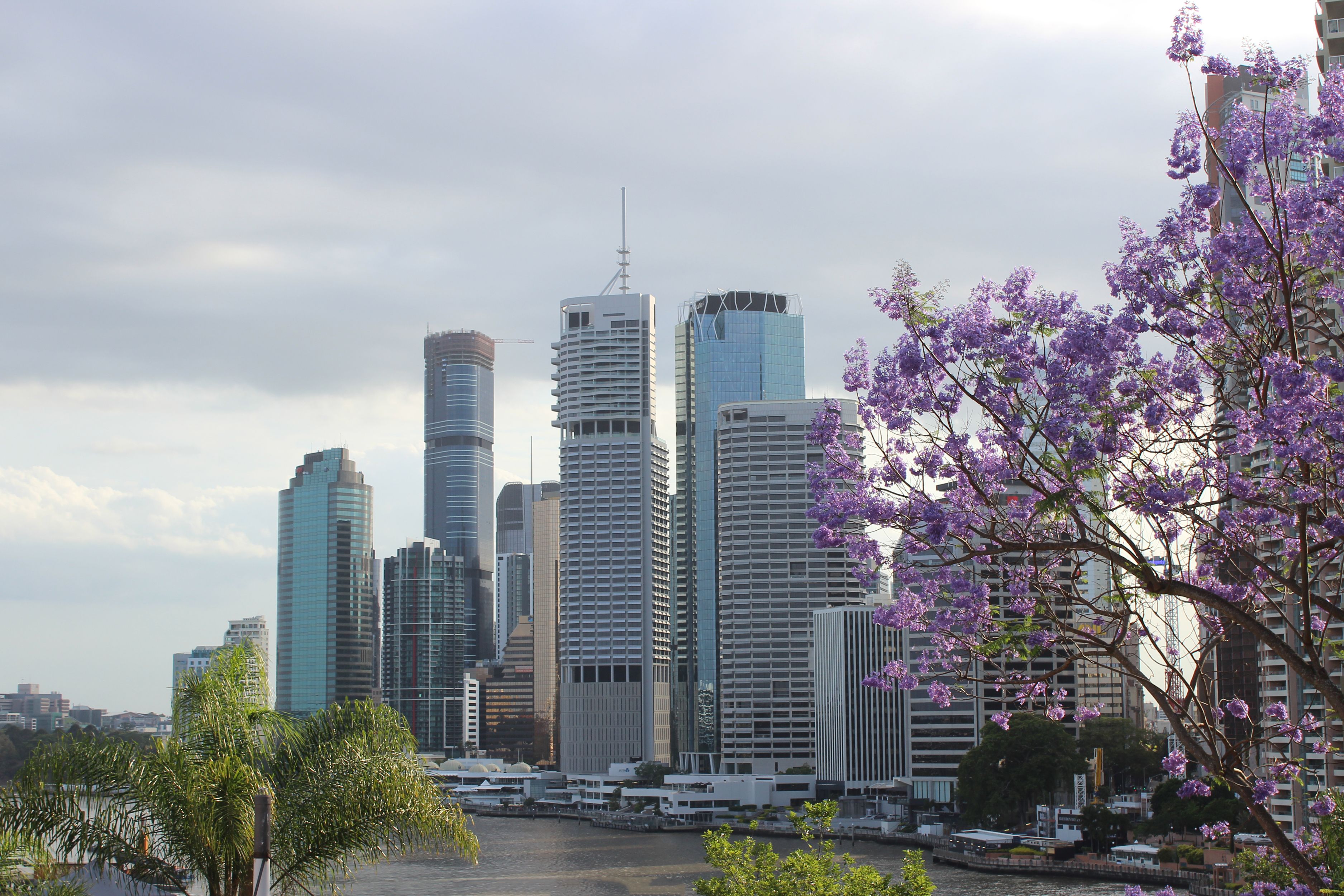brisbane river towards the supreme court to lodge probate