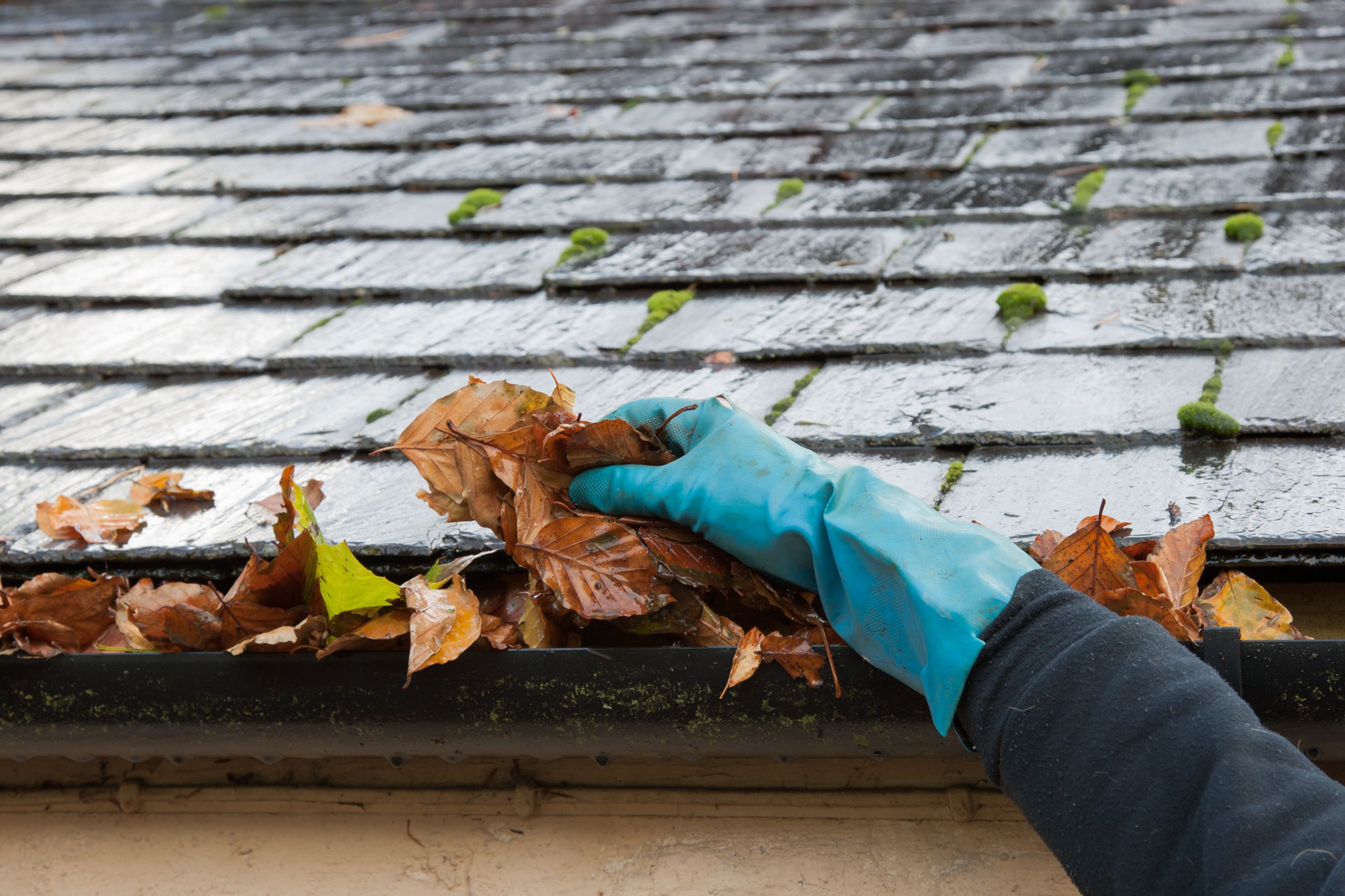 seasonal gutter cleaning