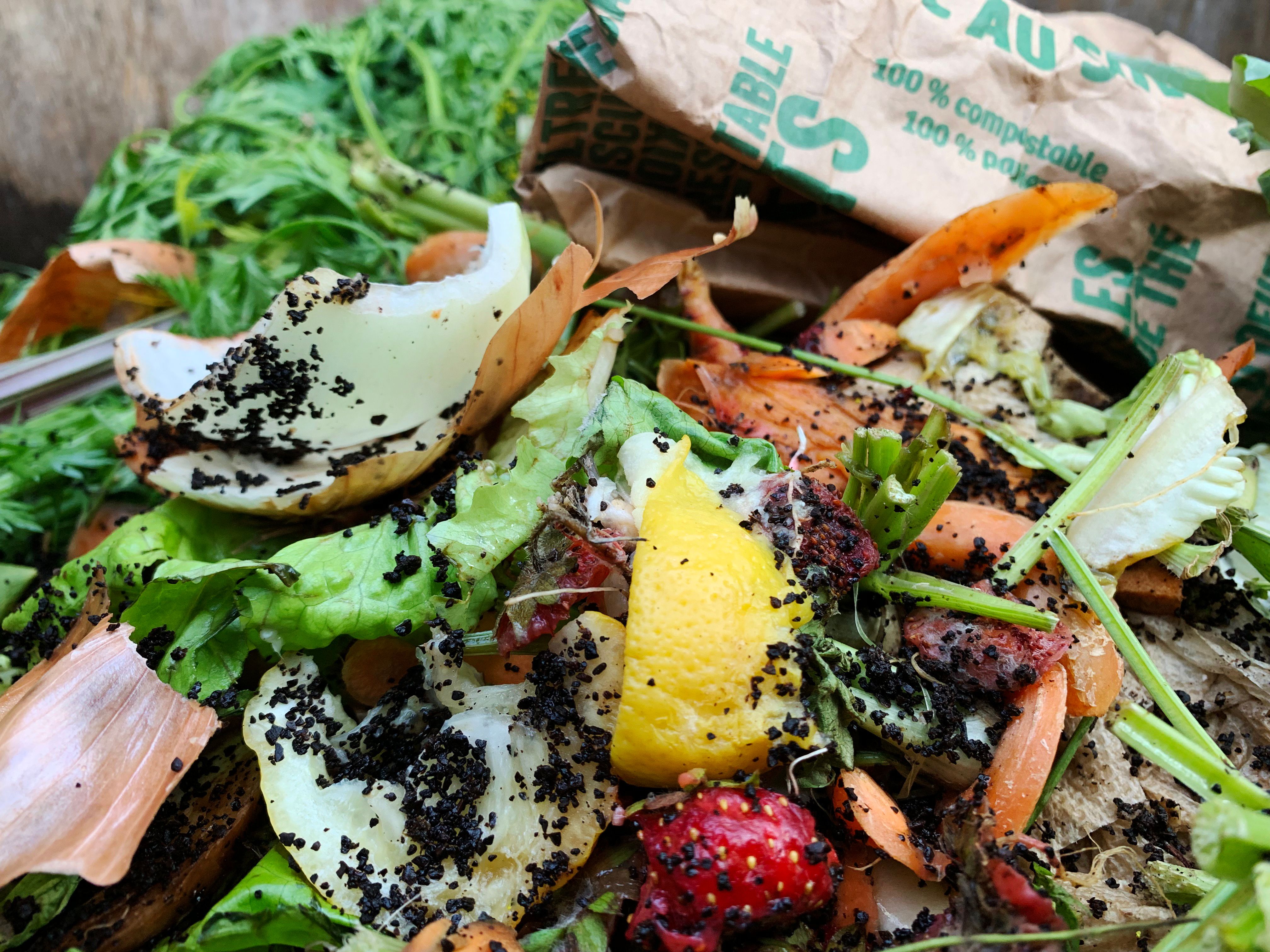 lemons for garbage disposal