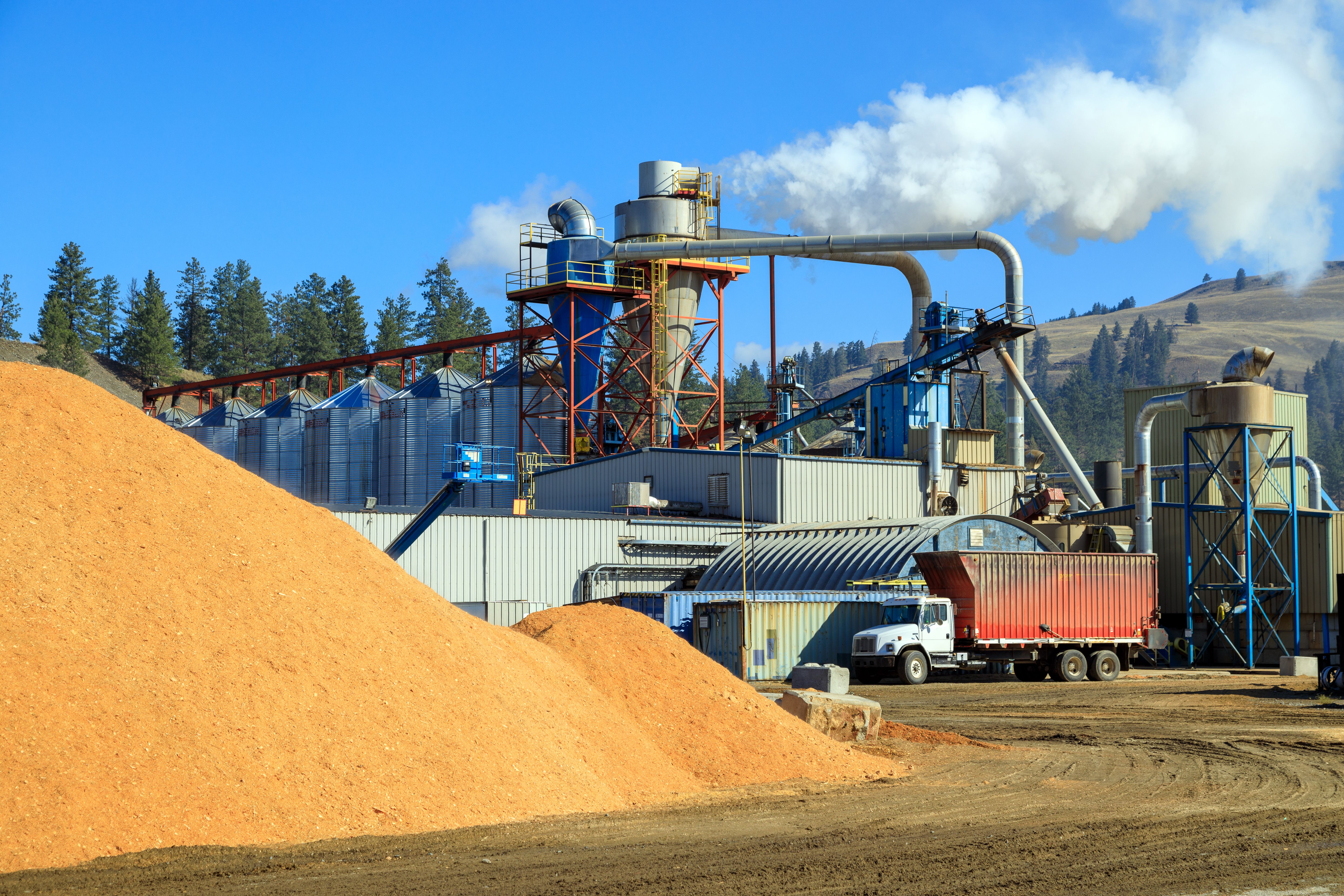 wood pellet production