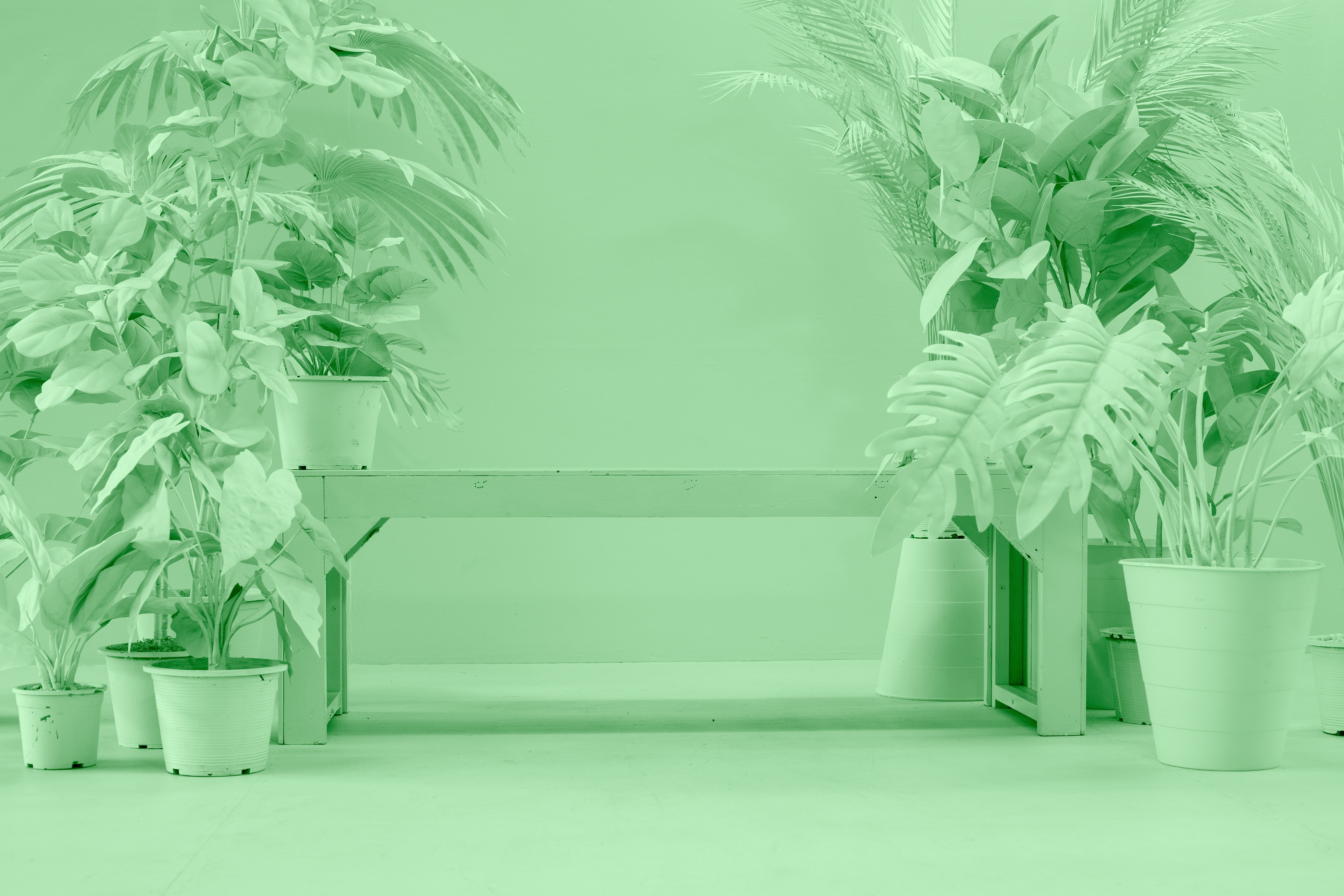 tropical photo booth