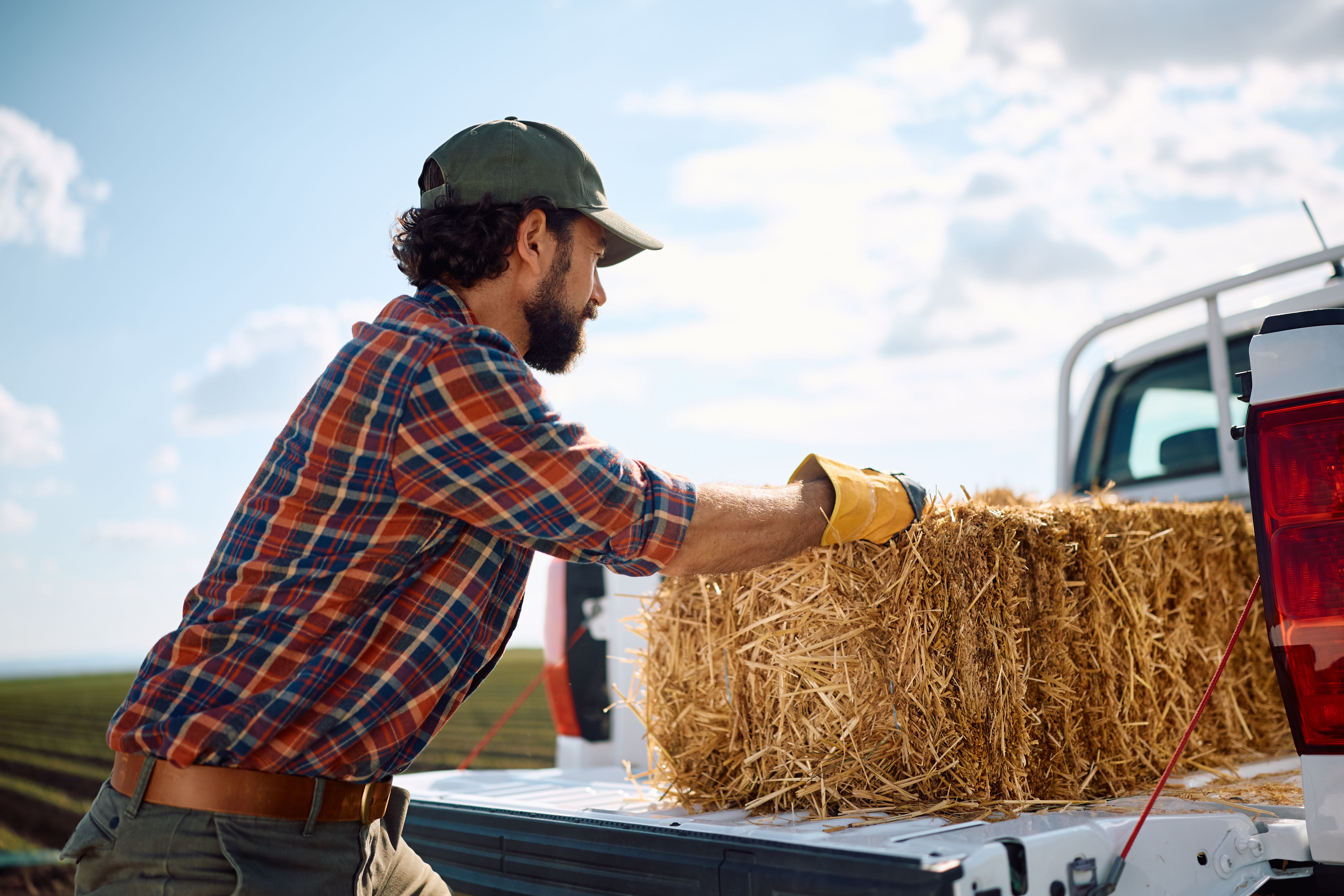 farmer inspecting hay