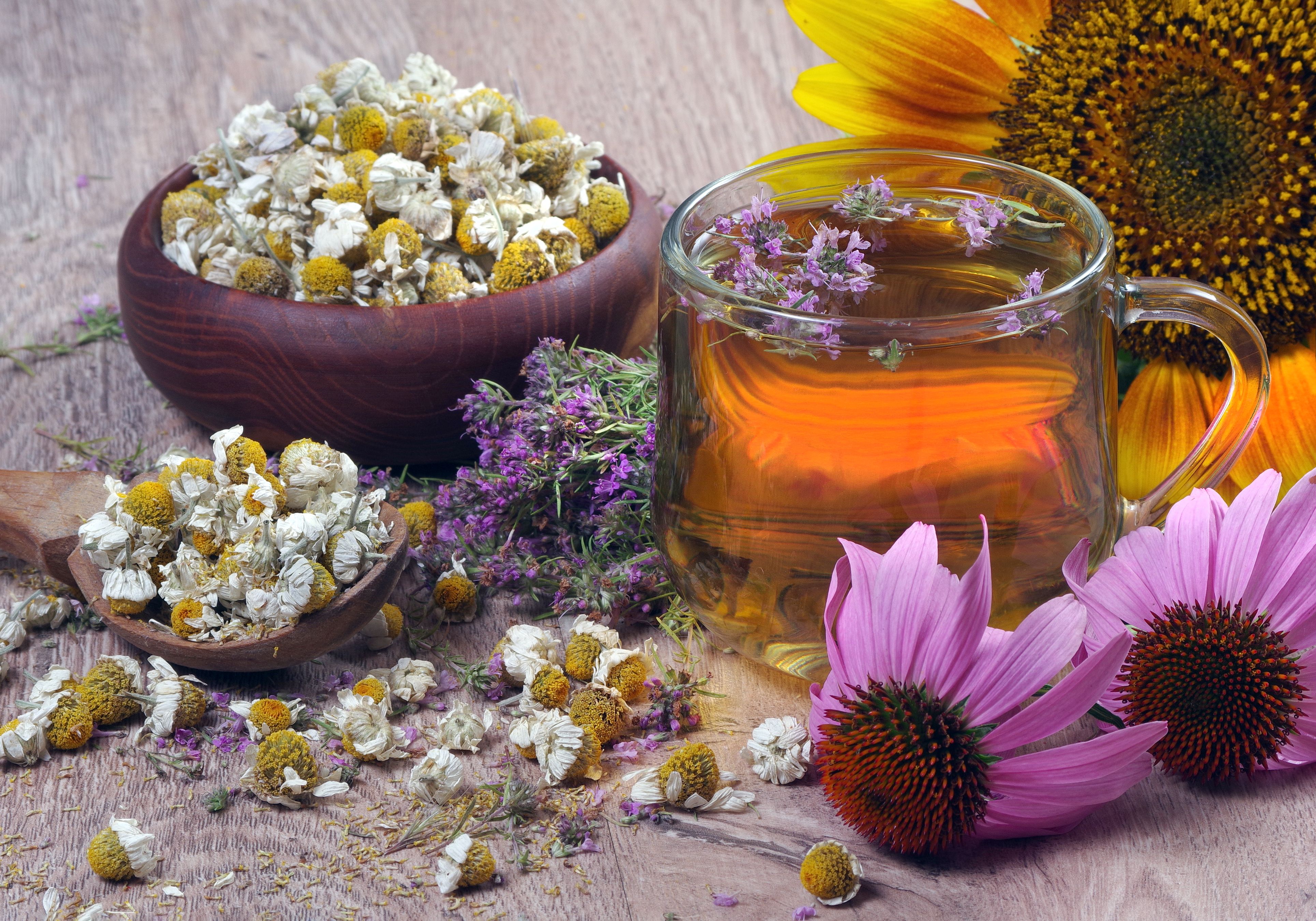 chamomile echinacea