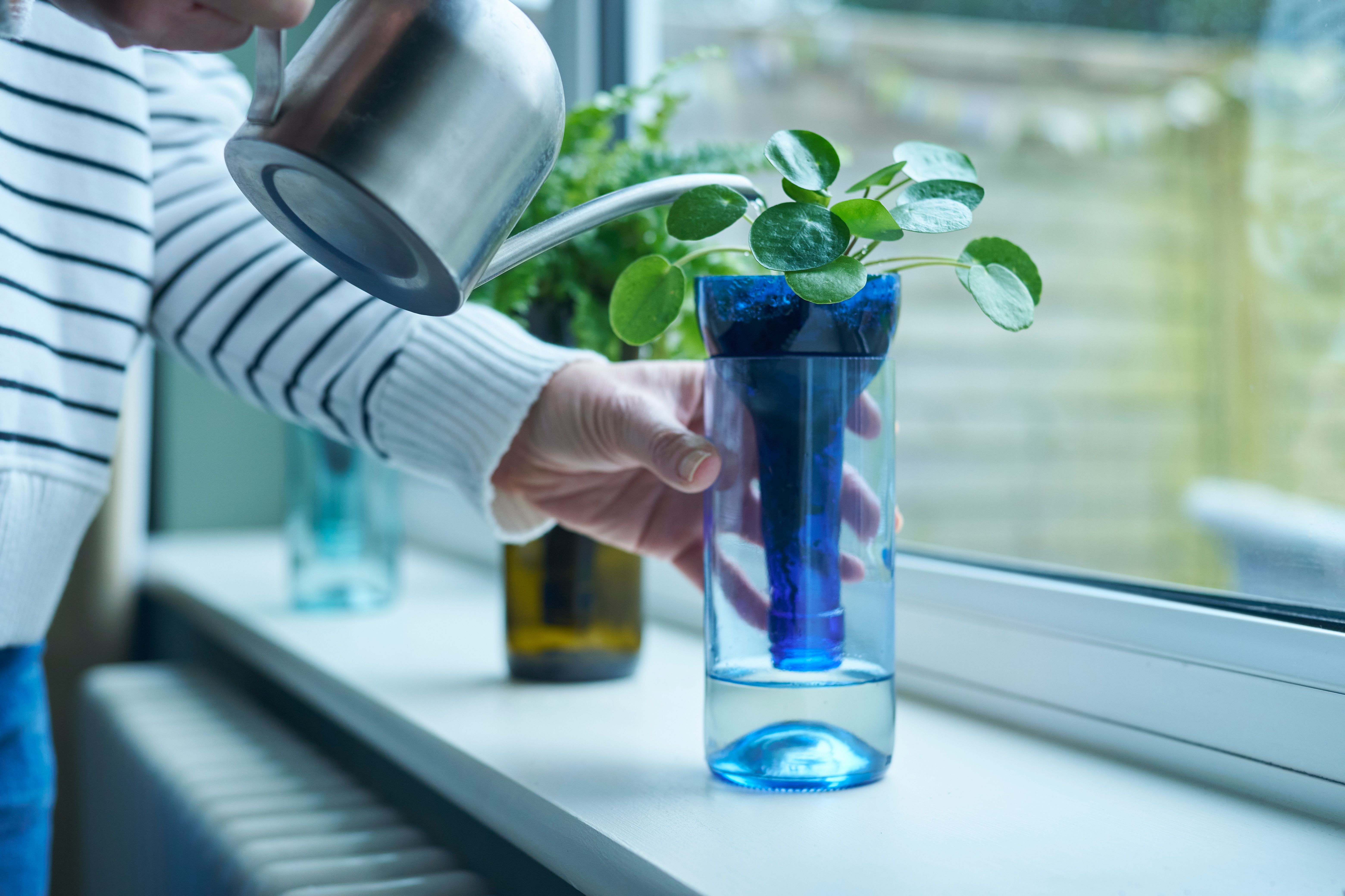 self watering planter