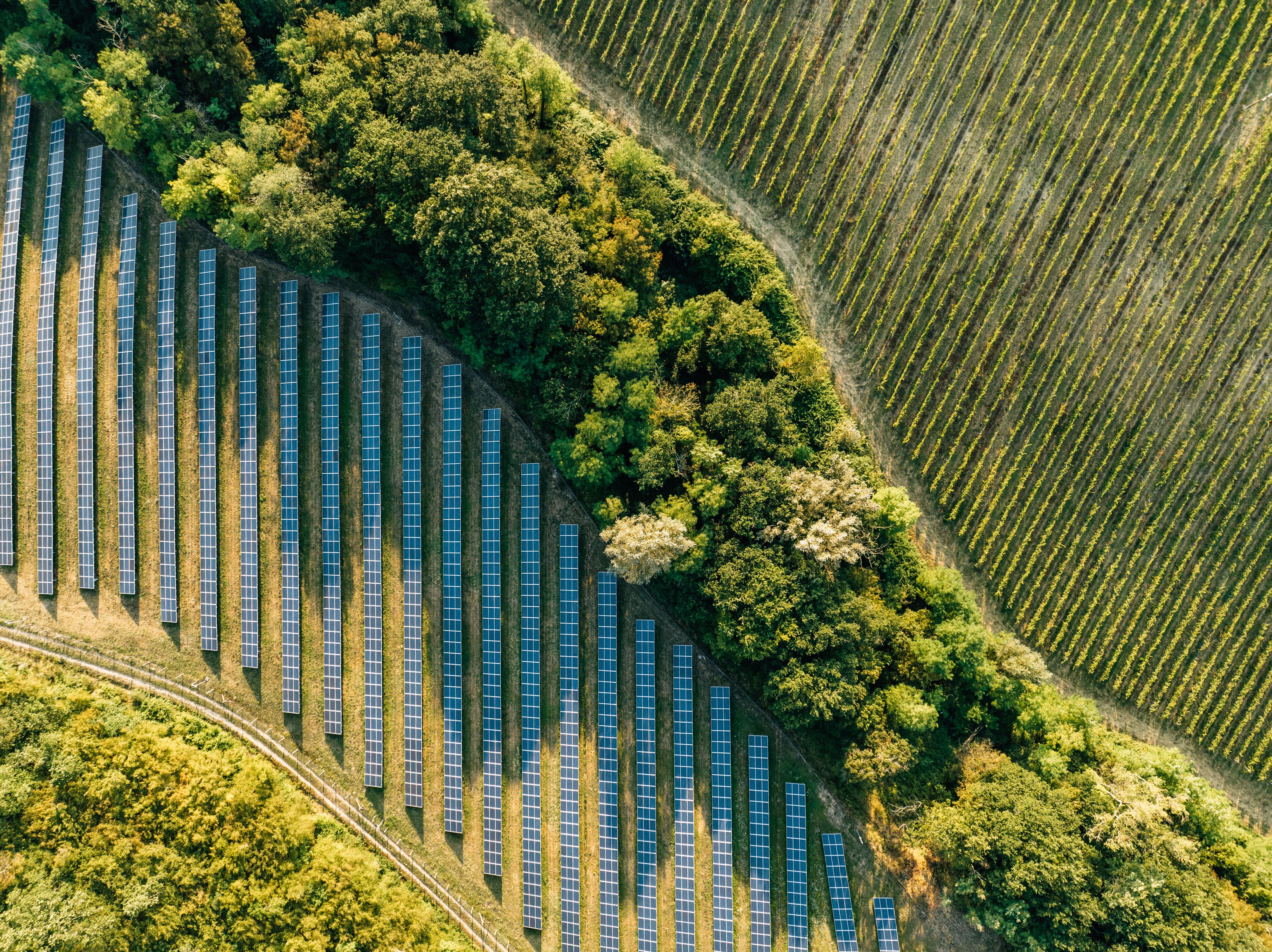 green technology