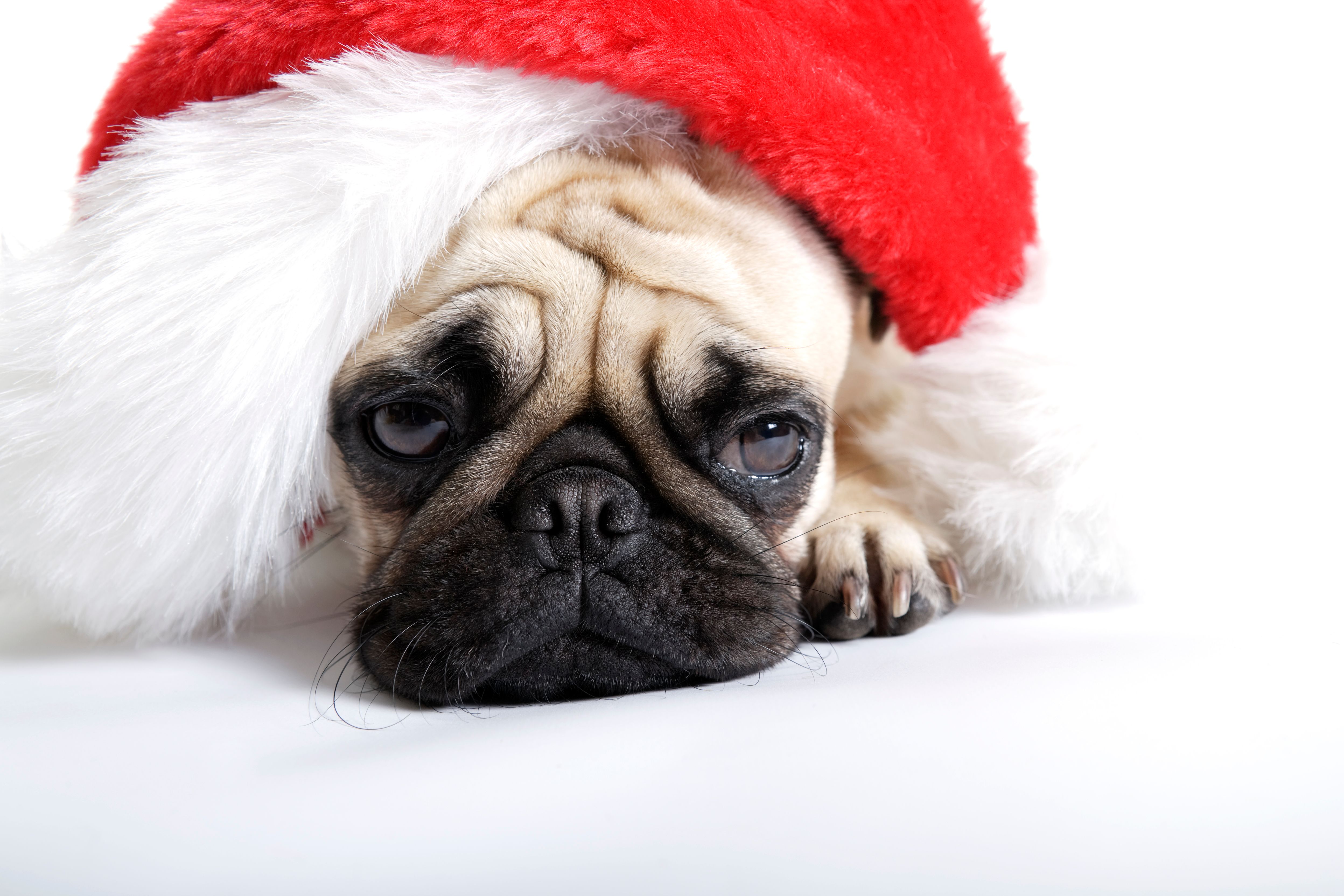 Christmas Tired Christmas Tired