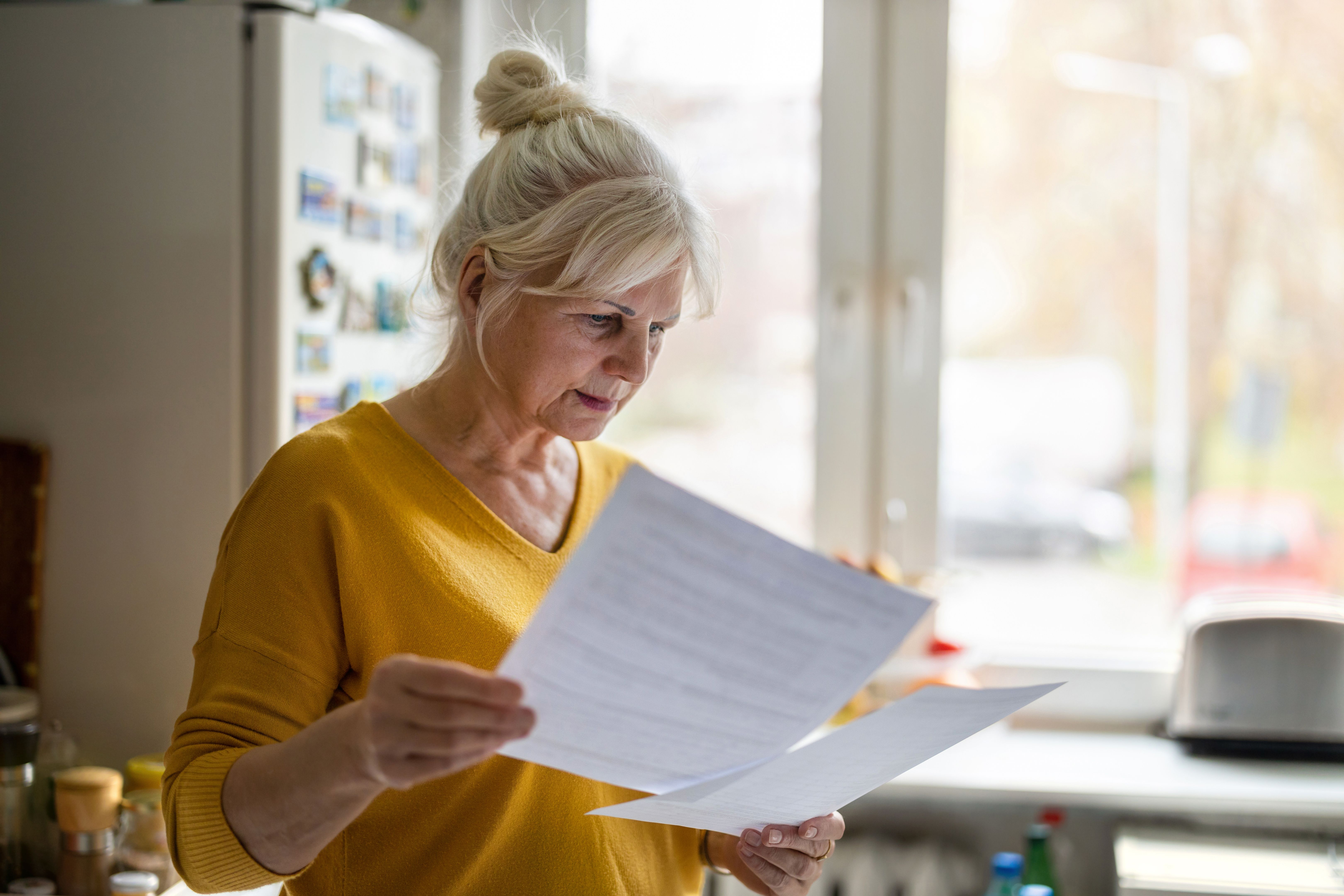 person reading documents