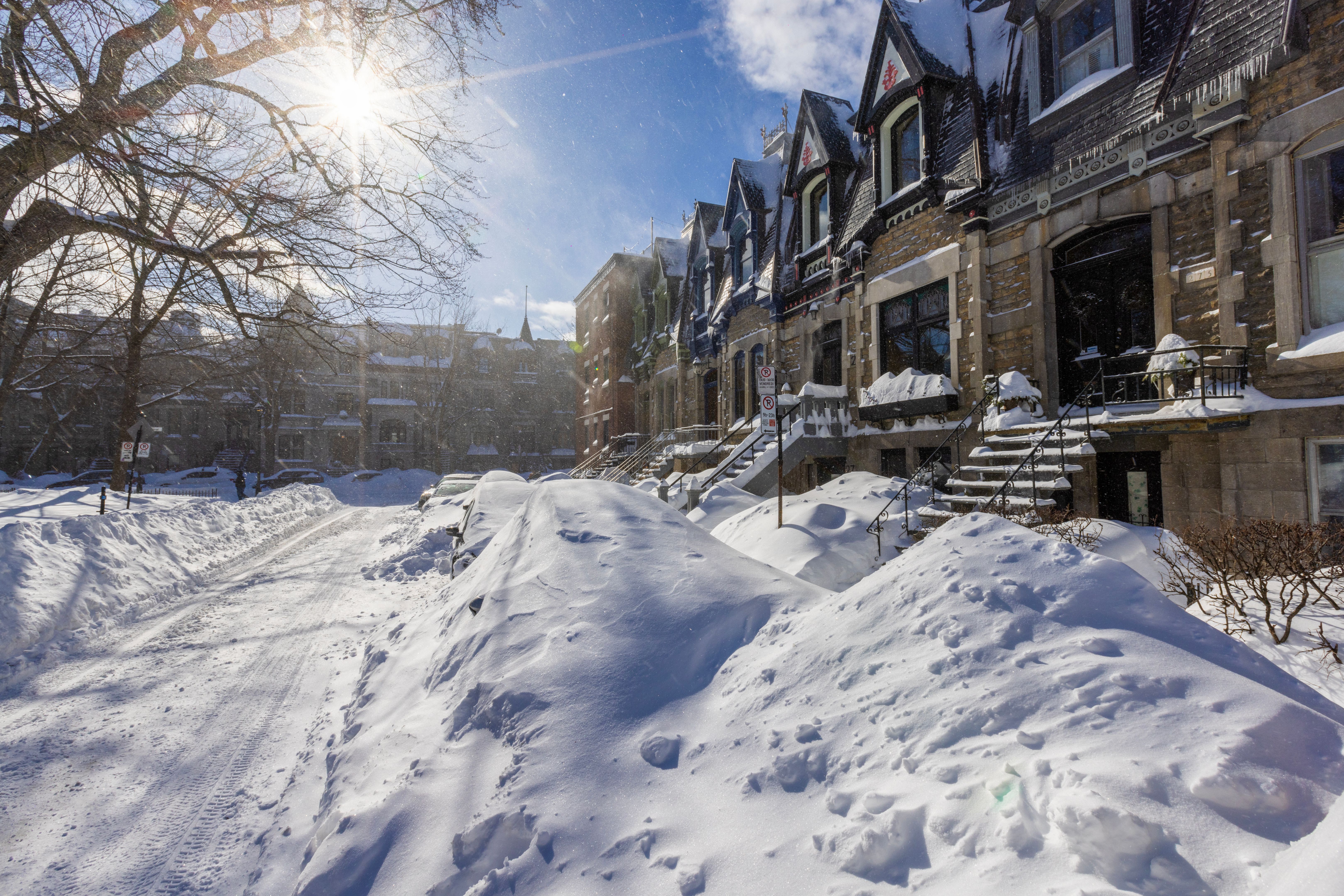snowy city
