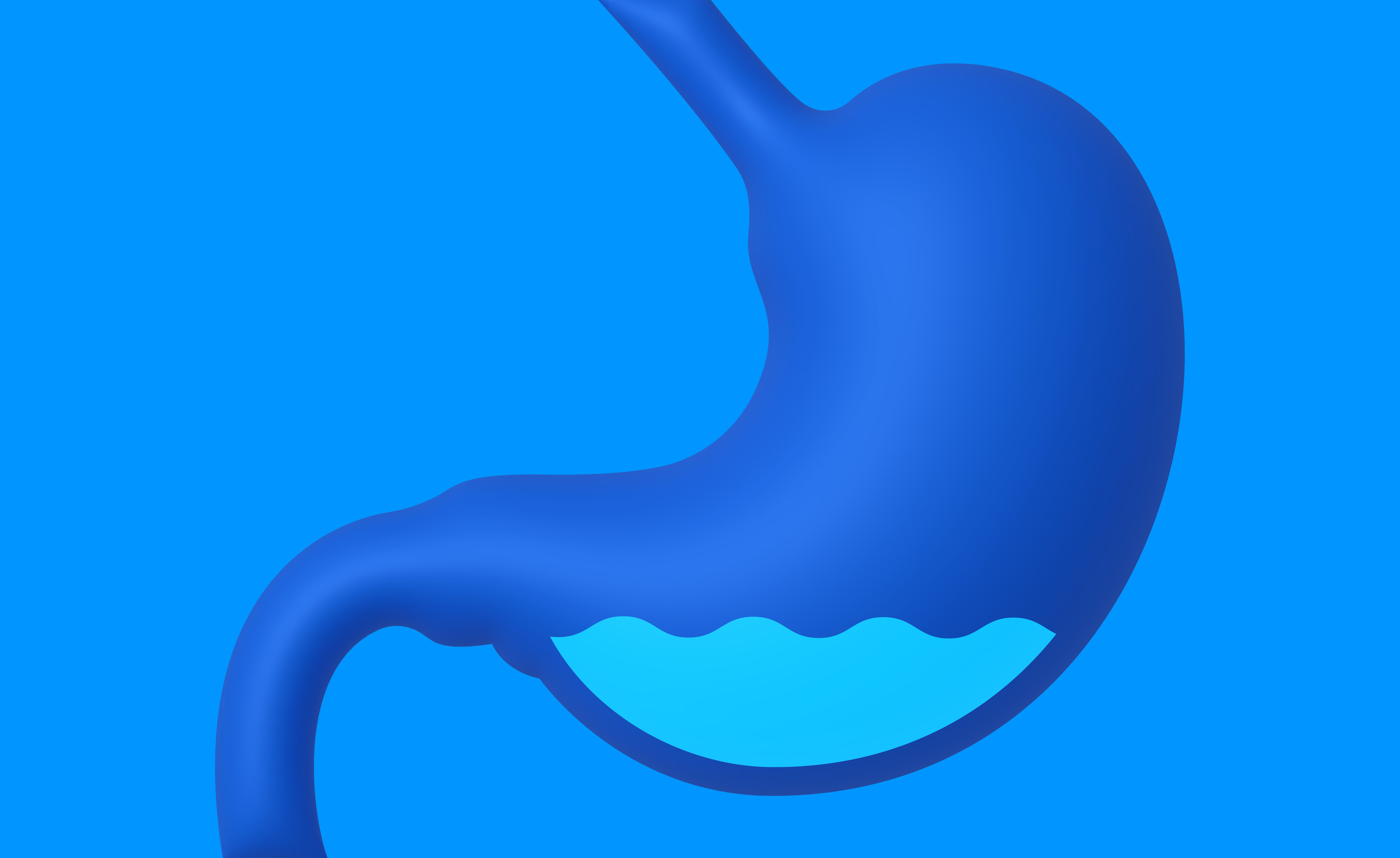 Human Stomach Internal Organ Concept Illustration