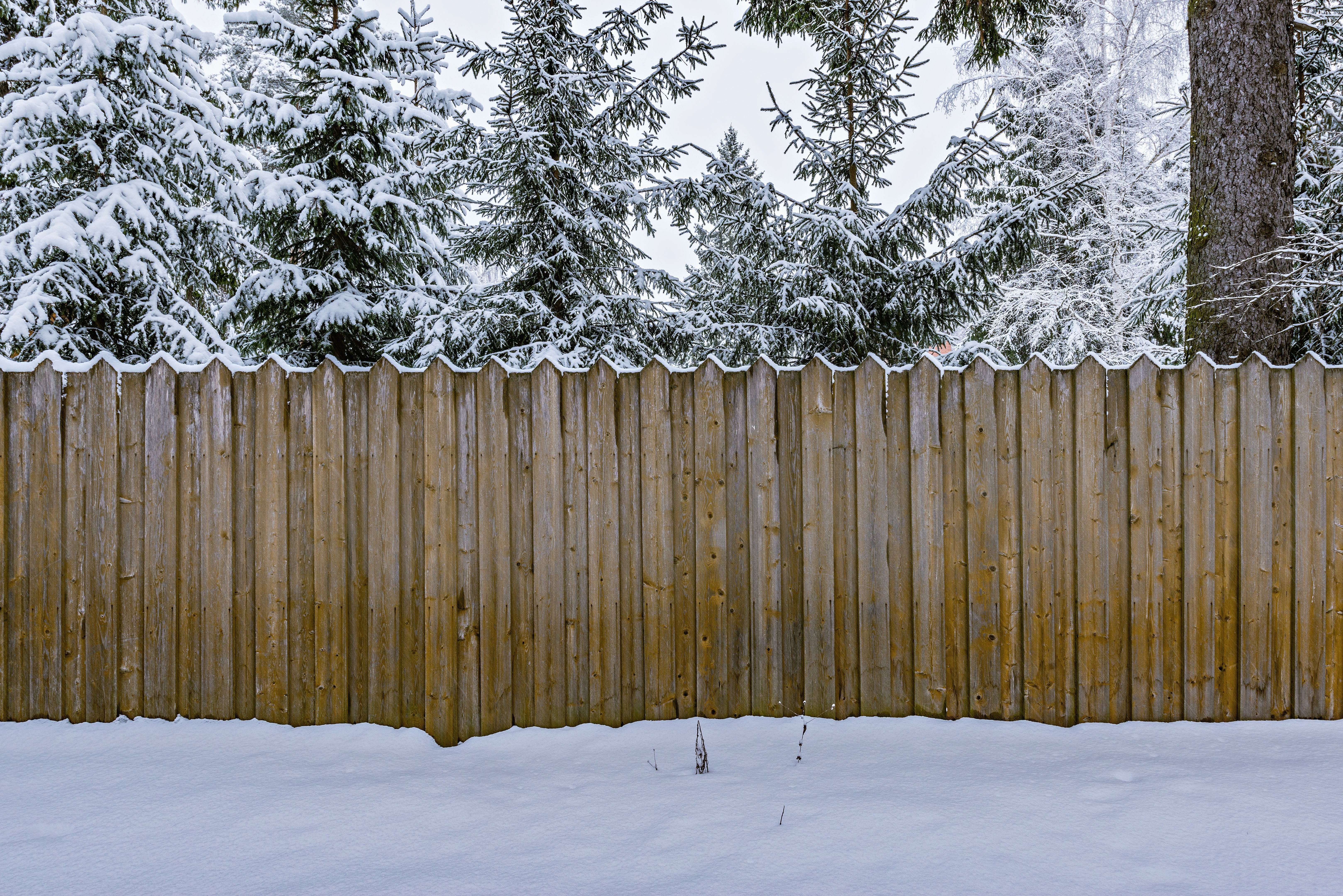 wooden fence winter