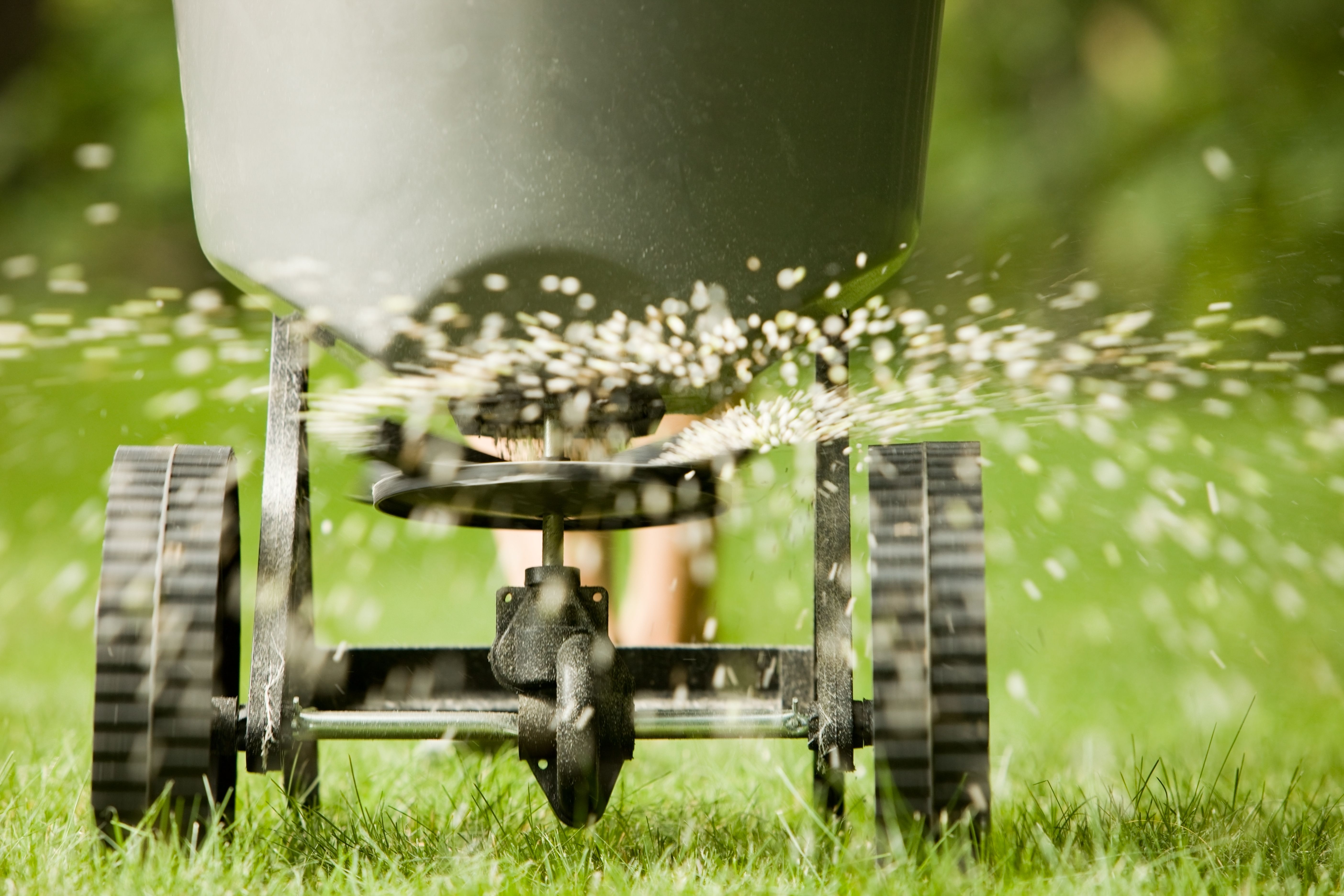 fertilizing grass