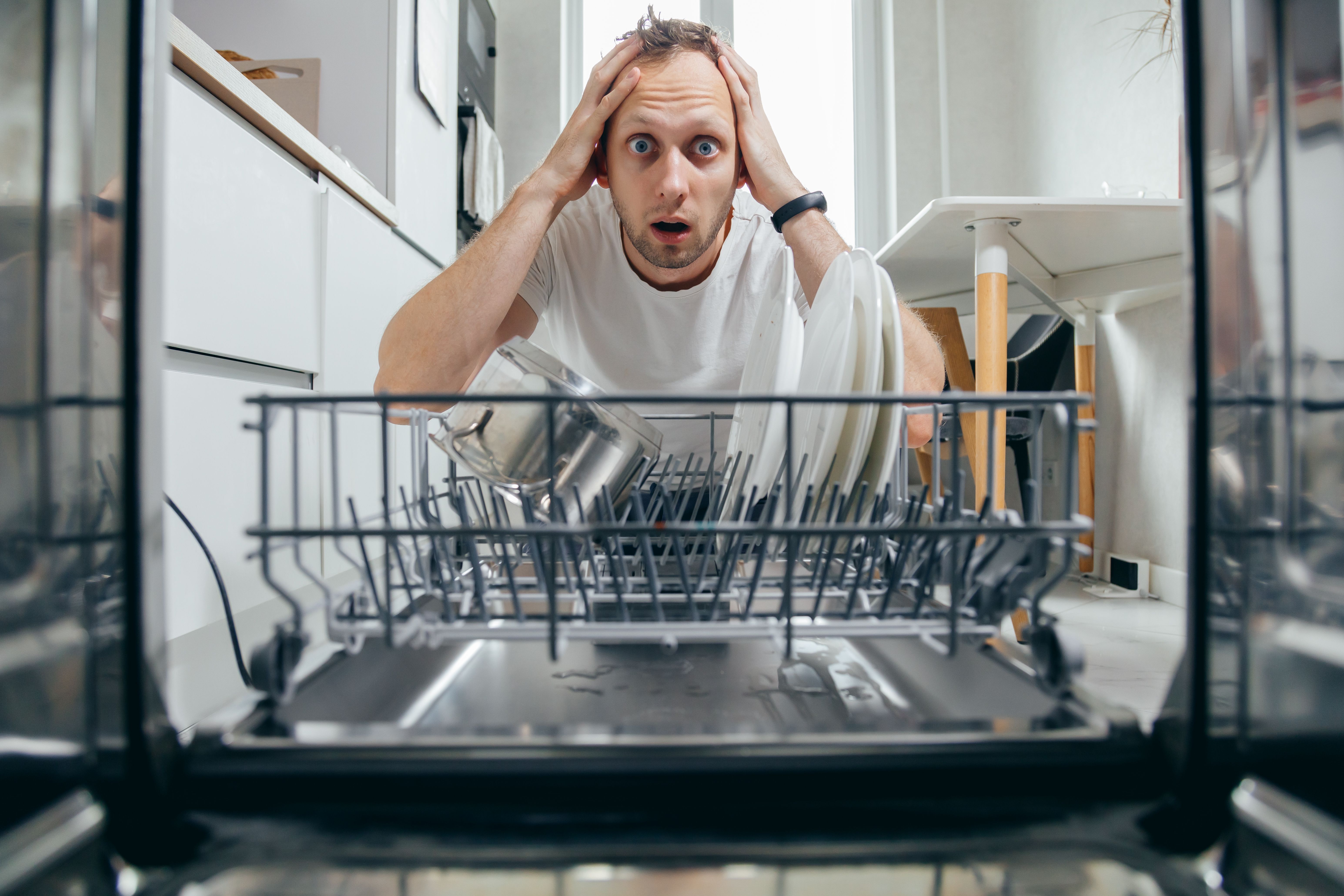 expert dishwasher repair