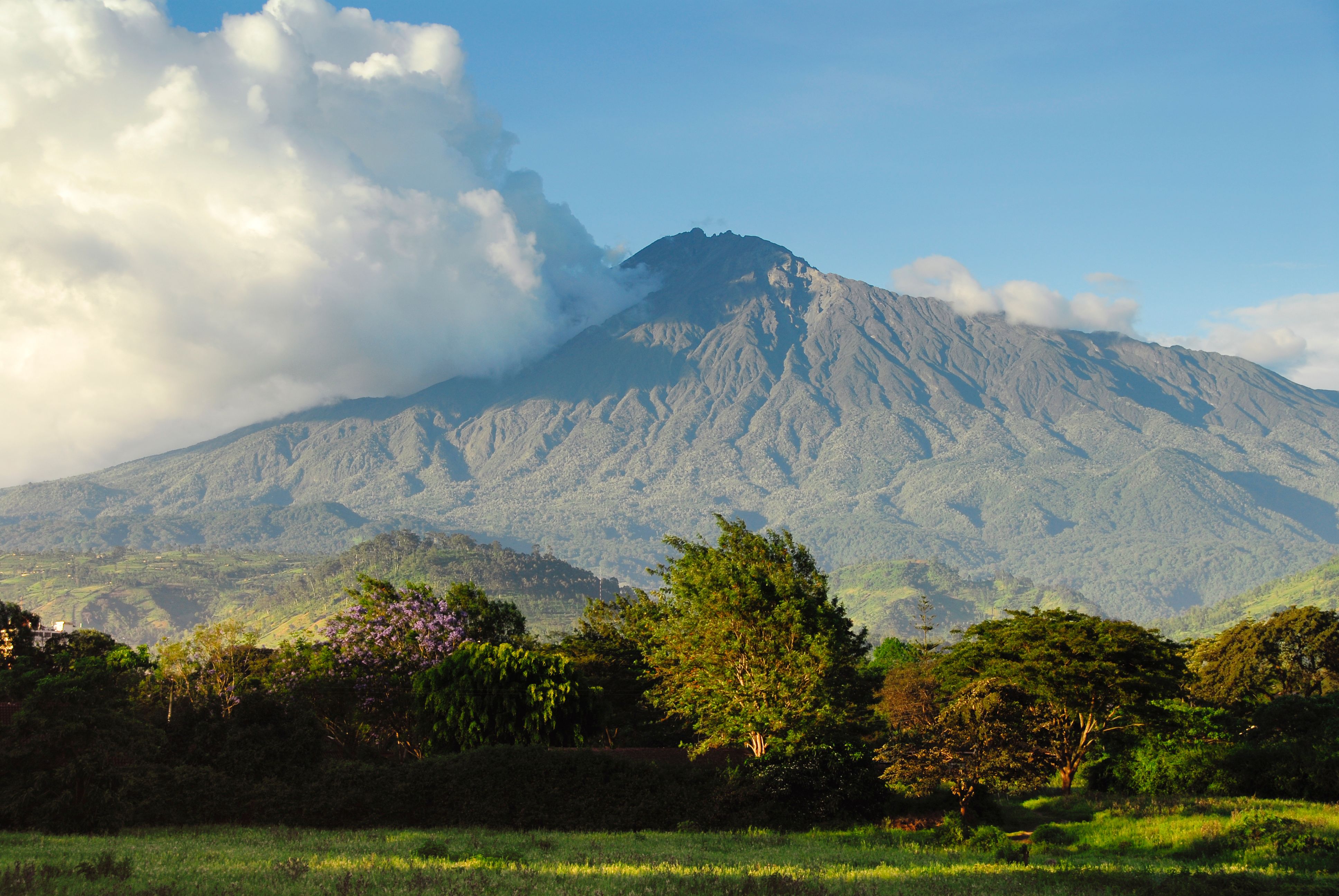 arusha landscape
