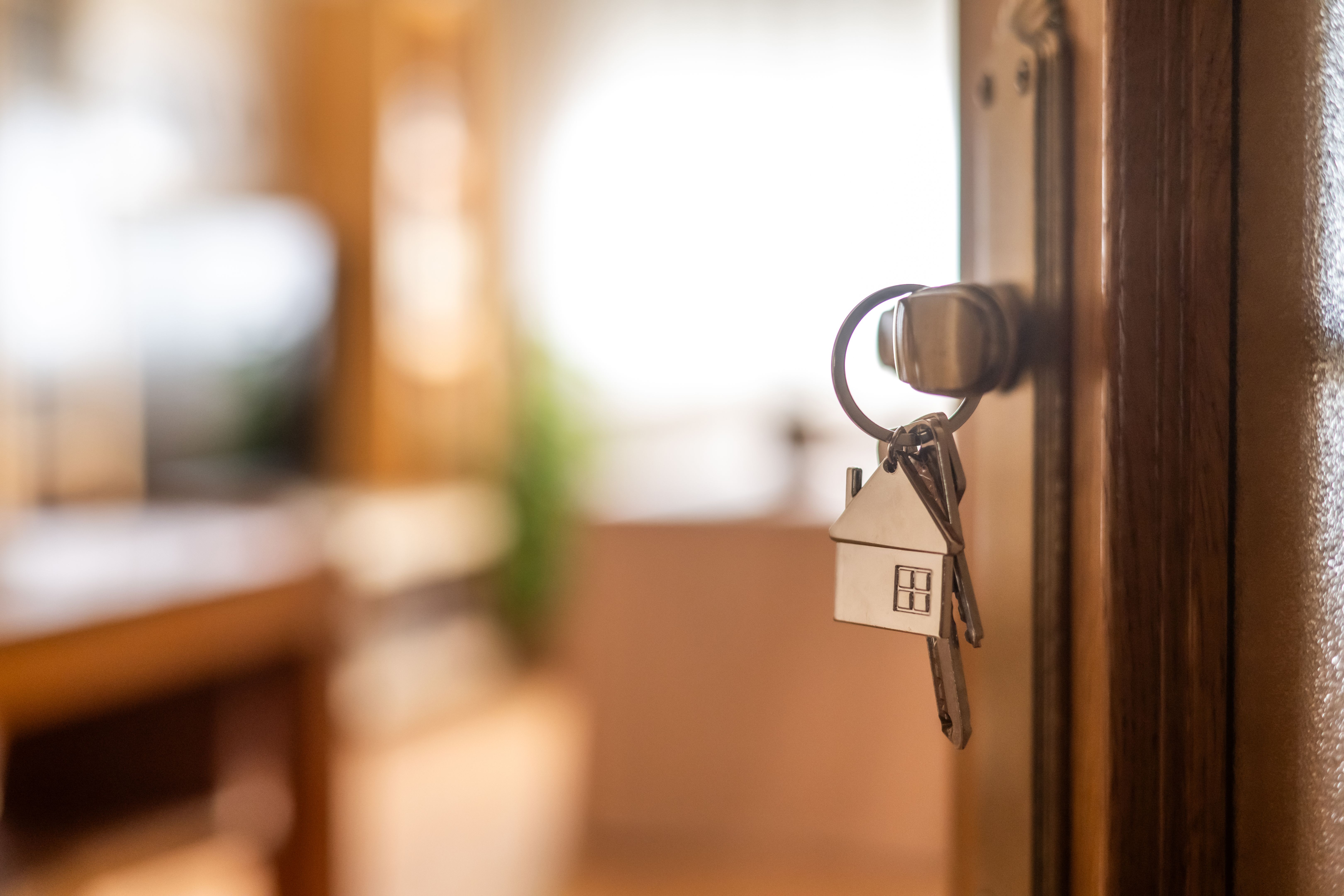 property safety
