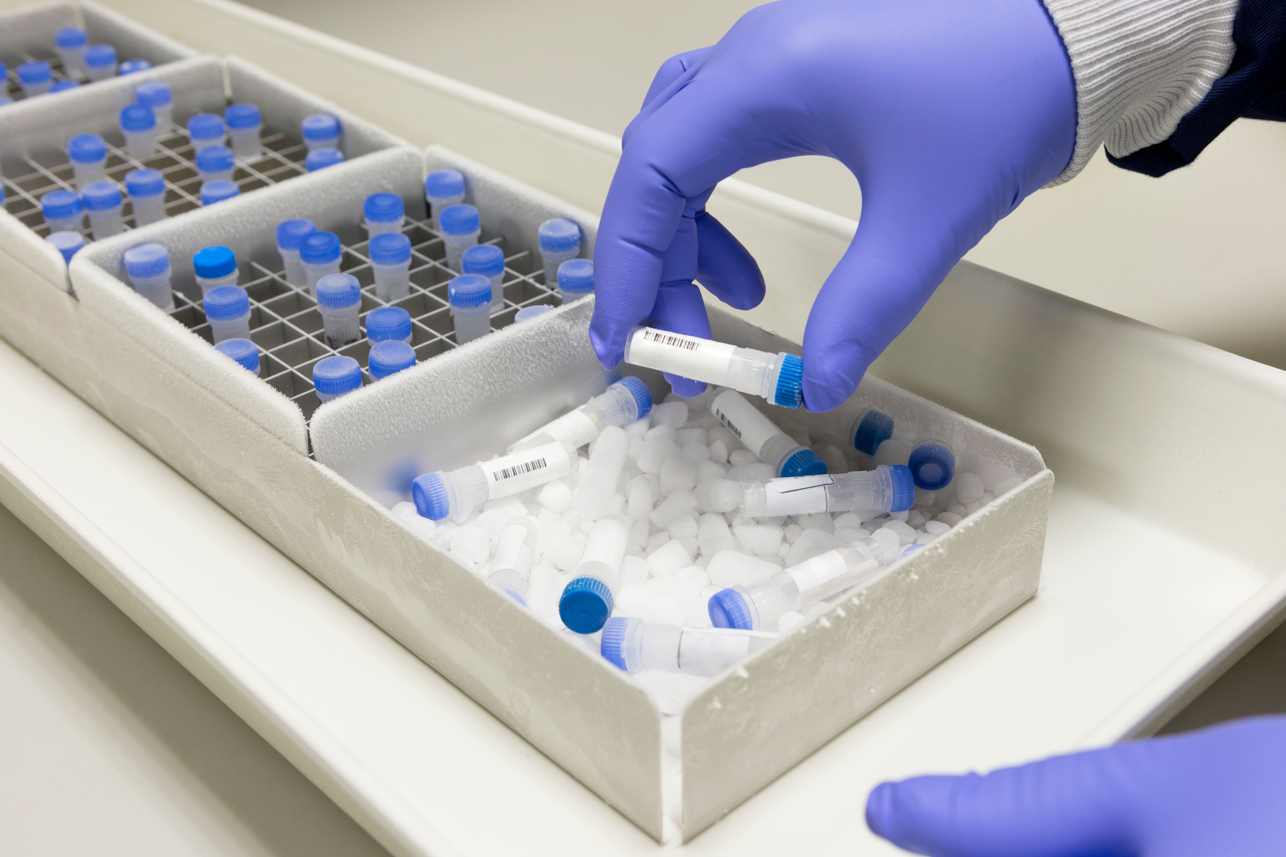 medical sample labeling