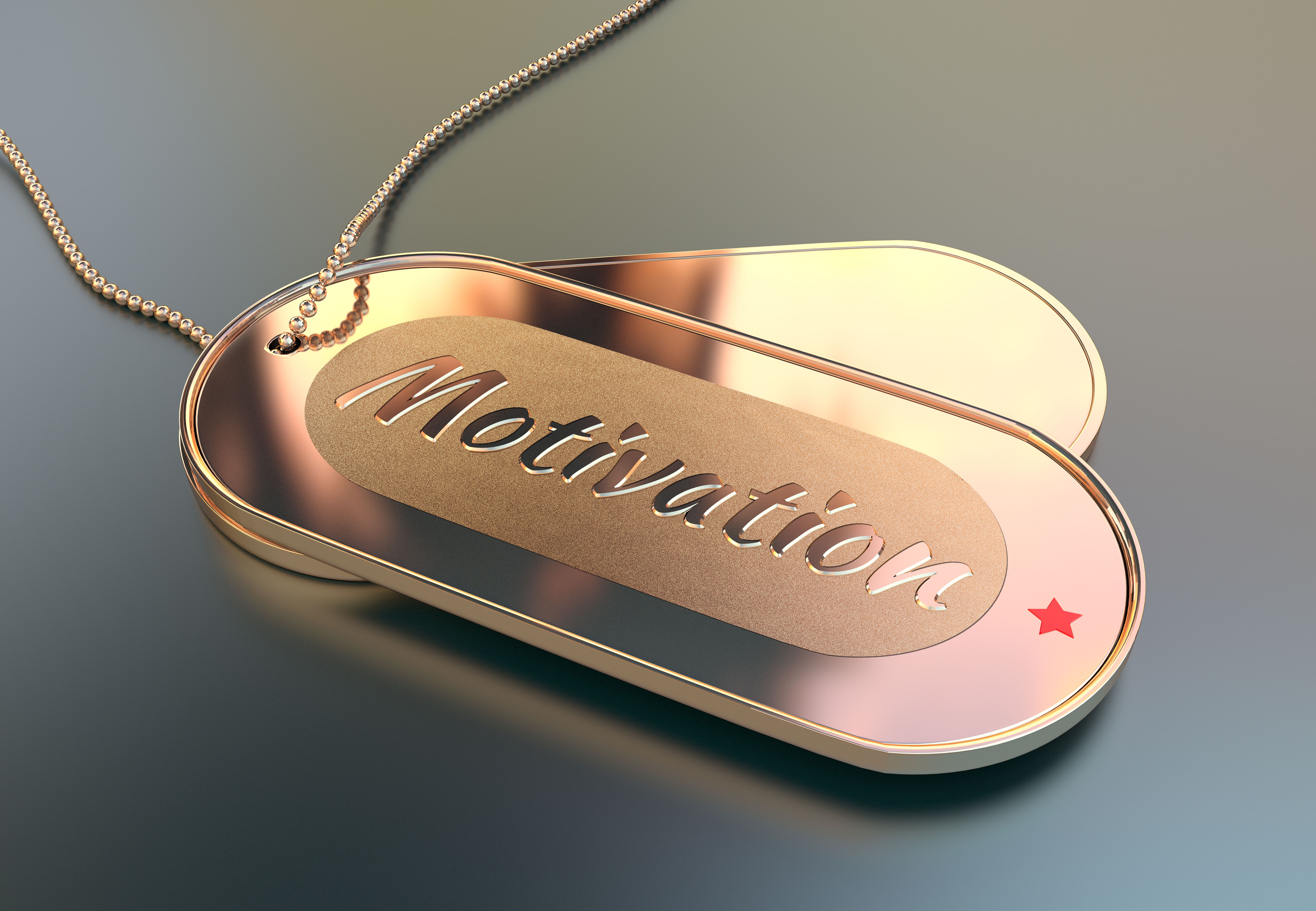 veteran success story