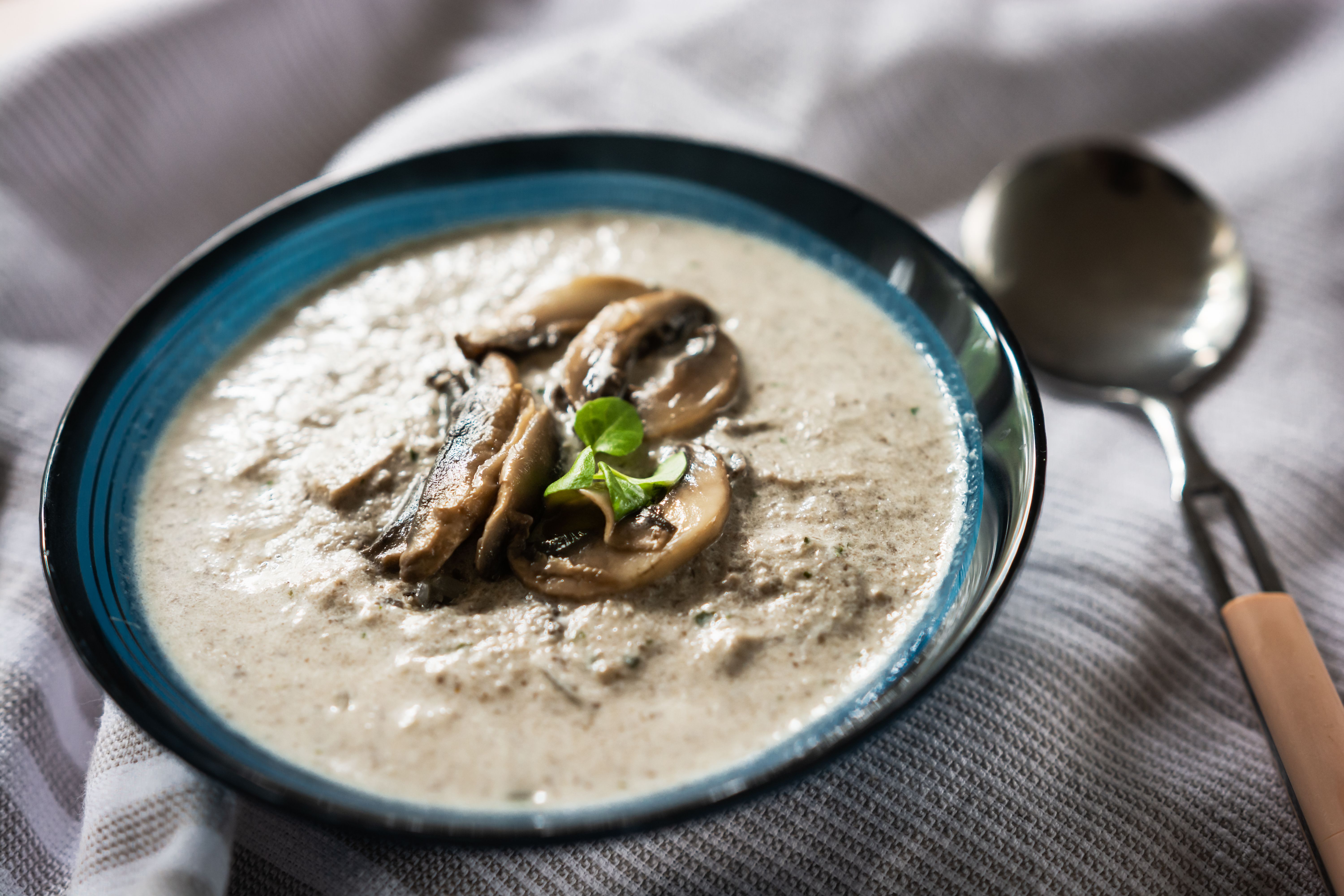 mushroom soup