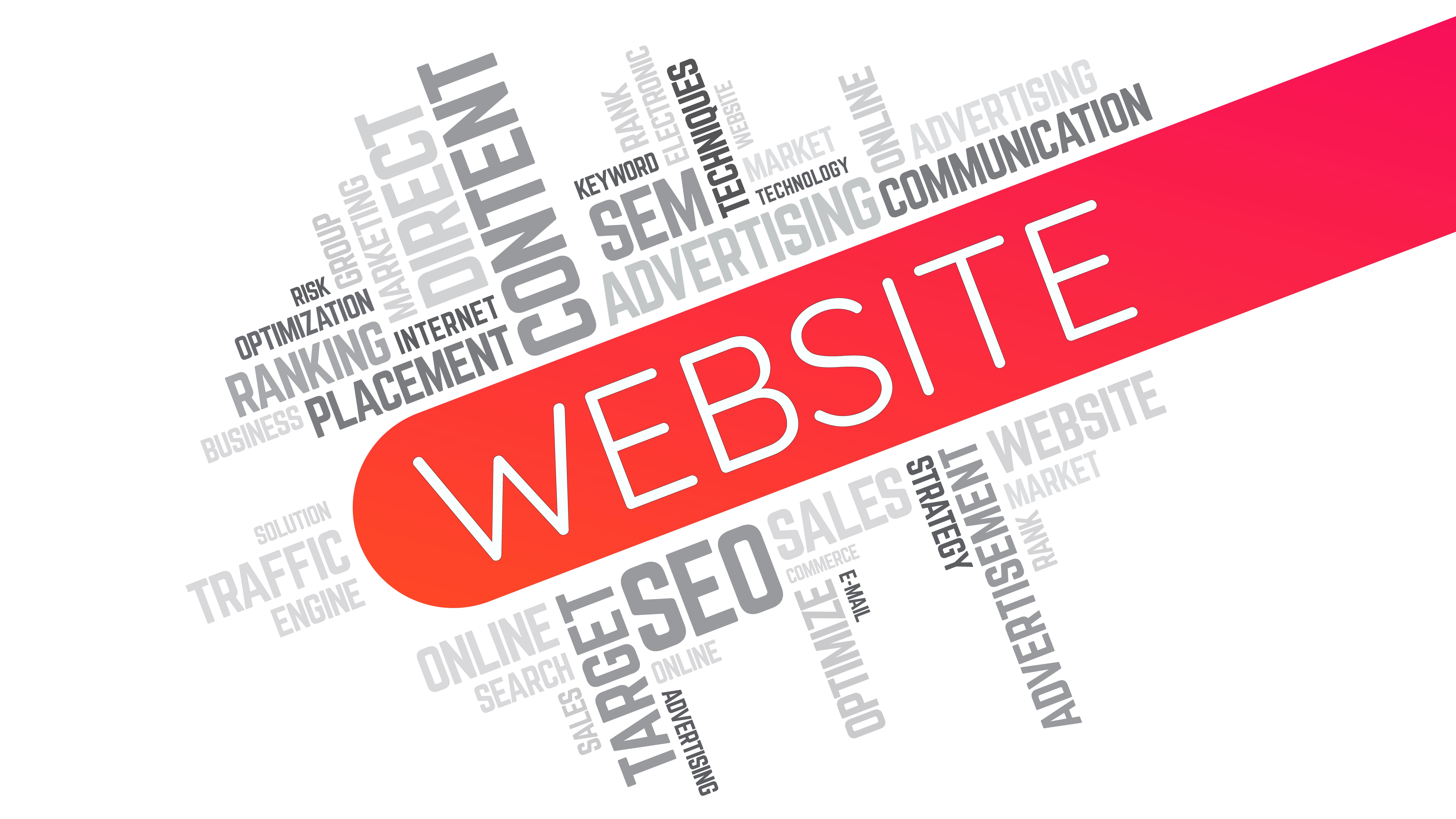 website builder options