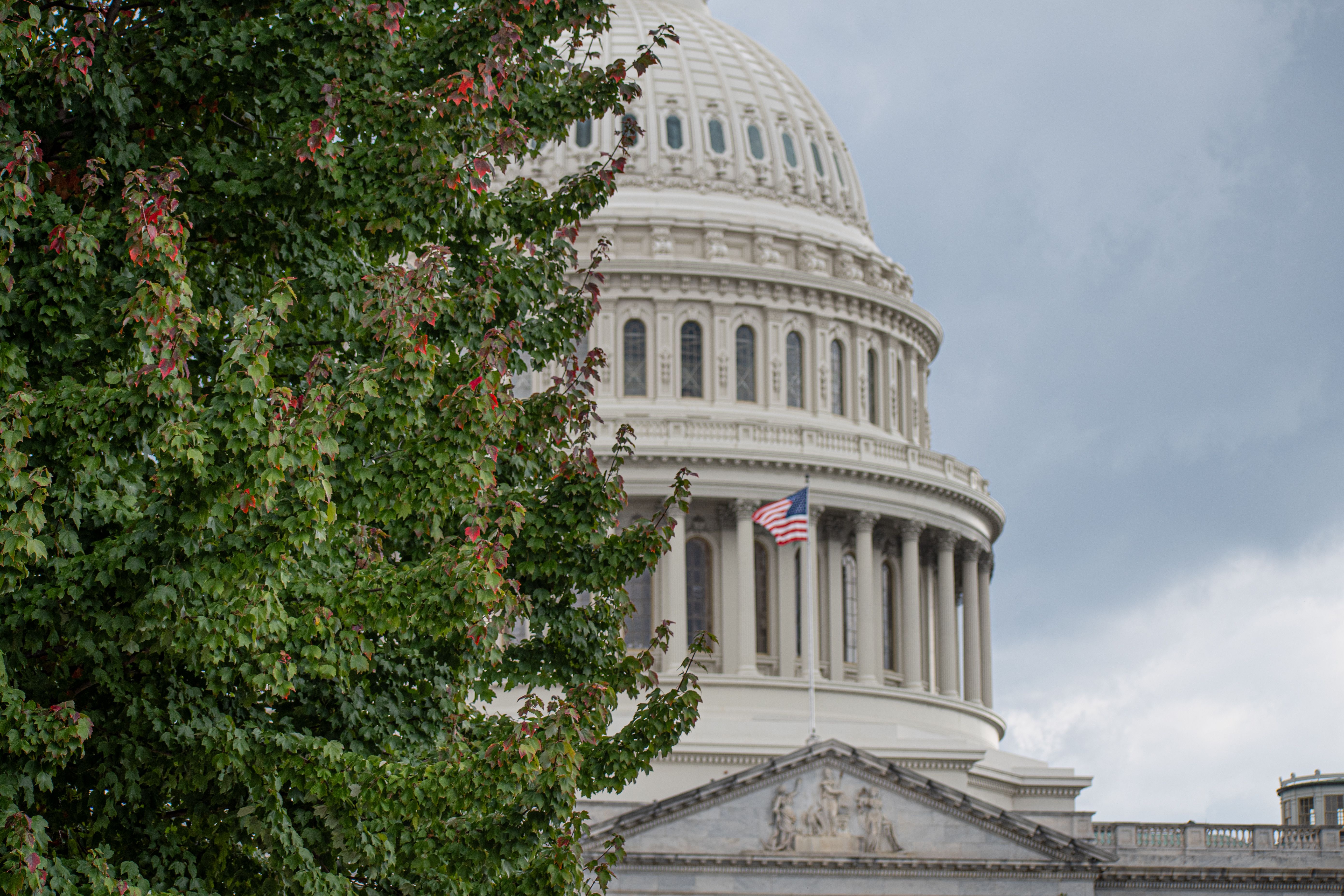 American Politics and Policy - Legalize Marijuana